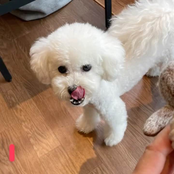 リスカフェのグルメインスタ