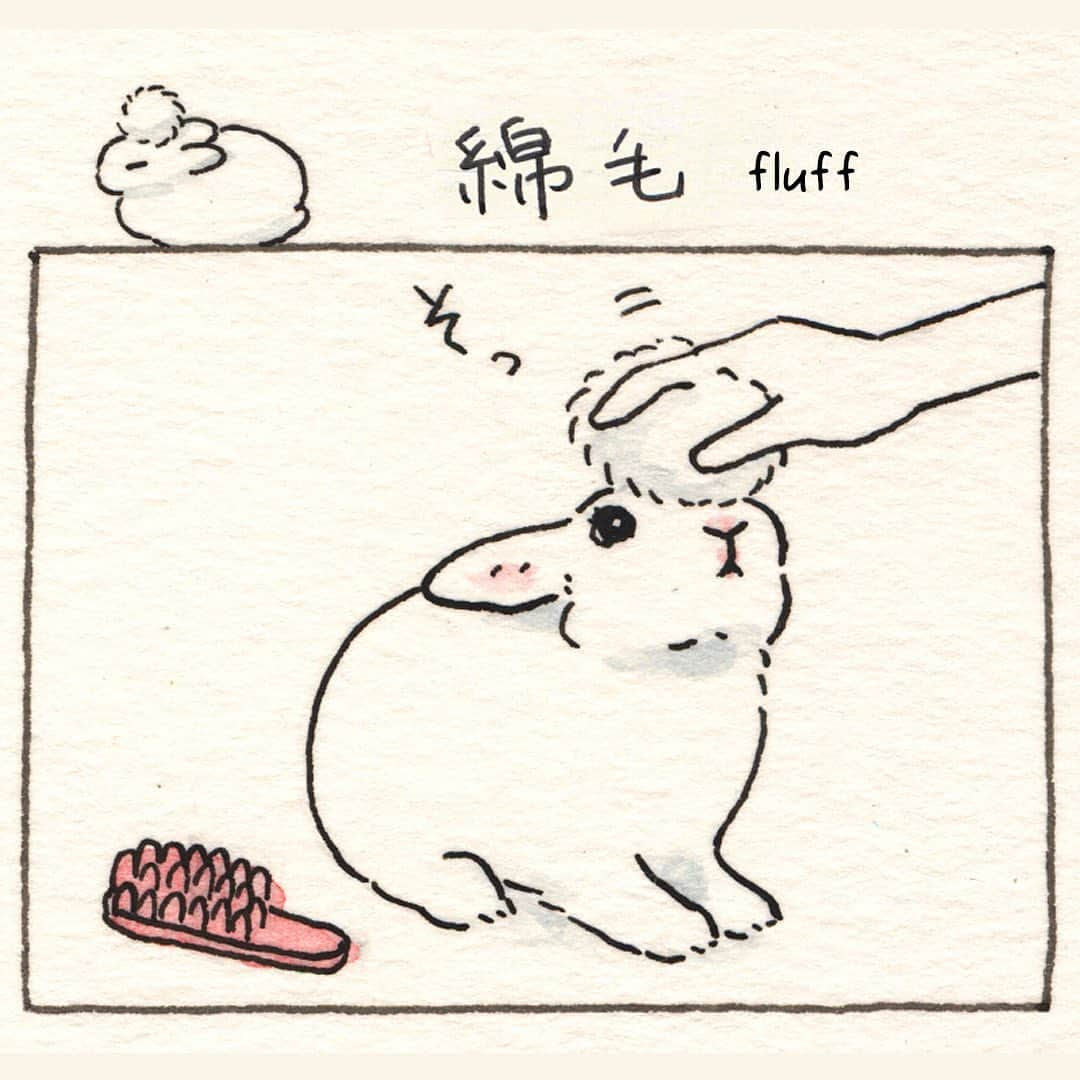 森山標子(しなこ)/Schinakoのインスタグラム：「fluff🐇💭 綿毛🌼」