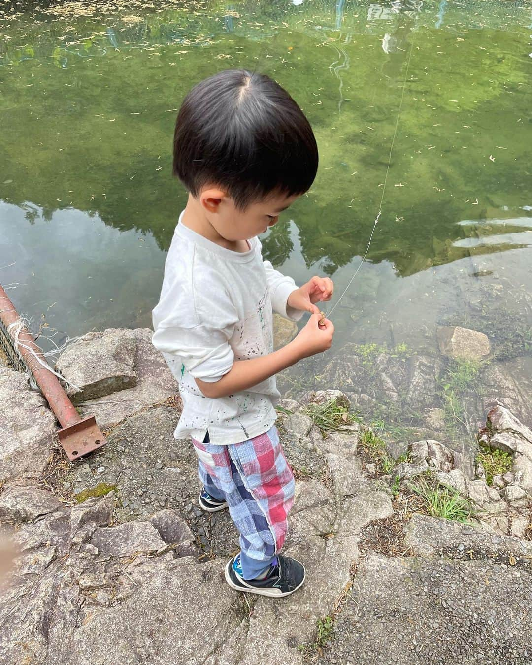 ともさんのインスタグラム写真 - (ともInstagram)「こどもの日🎏  子供達のリクエストで、釣り堀行ってきたよーん♡♡♡  あるるが 一人でエサをつけて 一人でじーと釣りを....! そしてまさかの二匹も釣れた🤣  ここの魚、大きくて あるるの力じゃ、持ち上げれんかったけど、そこは手伝って 一人で魚釣りを永遠に楽しんでおった🤣  釣れた瞬間の嬉しそうな顔よ🥸❤️ 自信もついたみたいで、 とっても良い経験✨🐟❤️  みんな魚丸焼きも 綺麗に食べました♡  🎣釣り堀詳細  ーーーーーーーーーー  万古渓養魚観光センター  📍 広島県廿日市市虫所山74  ☎️0829720012  お刺身にもしてくれるから 個人的にお気に入りの釣り堀🎣❤️  #広島ママ#広島観光 #広島ドライブ #こどもの日#広島グルメ #広島遊ぶところ #広島子連れ#広島子連れスポット#アクティブママ#アクティブファミリー #快活#シングルマザー#休日の過ごし方#シンママ#自然が好き #自然の中で」5月6日 10時39分 - tomo0510nagi