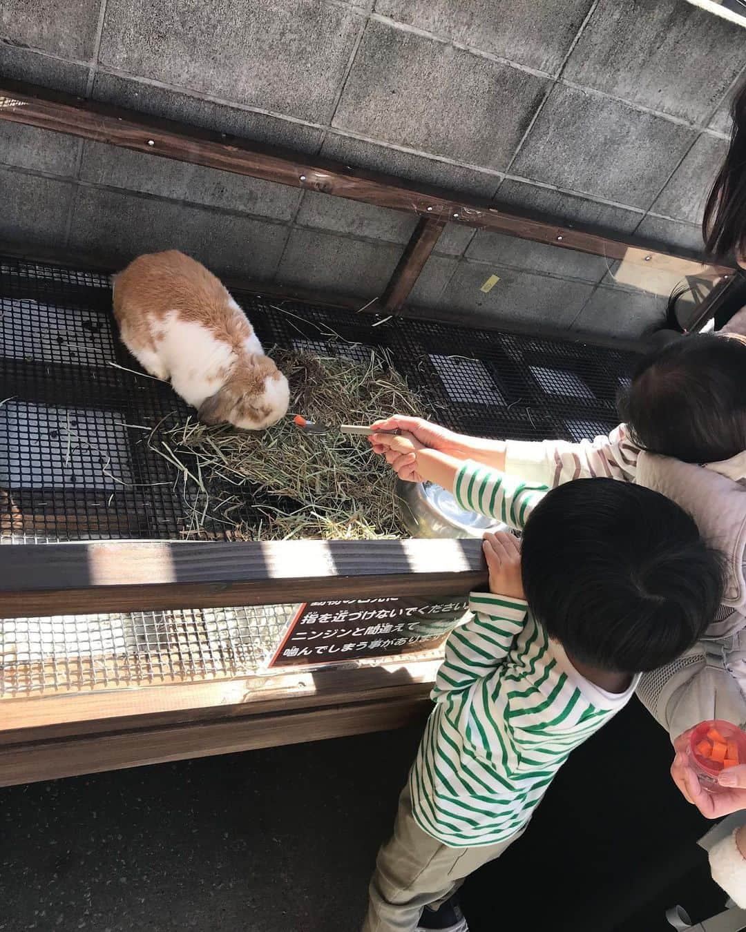 尾崎ナナさんのインスタグラム写真 - (尾崎ナナInstagram)「GWは色々な所にお出掛け‼️ 天気が良かったので基本野外‼️ どこも混んでるけど、、子供たちが喜ぶならと父母頑張る。 久々に難易度中のアスレチックに息子と挑戦したら思ったより高さがあって、ちょっと怖かったよ🤣 大変だけど自然に癒されました〜☺️ #毎日5時起き #ソレイユの丘 #アンデルセン公園 #昭和記念公園 #武蔵野の森公園」5月6日 11時07分 - nana._.ozaki