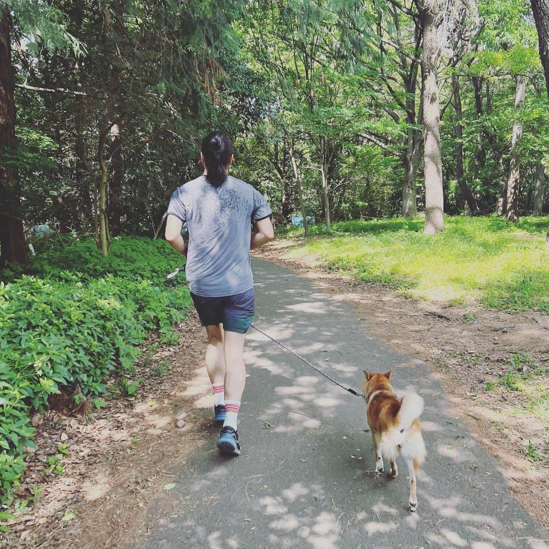 のインスタグラム：「だんだん戻りつつある。  本当にランニングや運動には気をつけてください。 特に40代過ぎるとね。 1月に肉離れになってから5ヶ月が経ち、やっと週2まで戻れた。 足の筋肉も背筋もちょっとだけ戻れた。  この間、ランニング中に目の前で1人のランナーが倒れた。心筋梗塞らしく、その後、無意識になり失禁した。 すぐに俺は心臓マッサージをした。 救急車が来るまで１５分くらい。 やり方が合ってるかわからないけど、３０秒に一回ぐらいの感覚でハァーと大きな音で息を吸ってくれた。 身体はもうだいぶ冷たくて、心臓が動いてないためなのかもしれない。 救急車が来て、たぶん中で電気ショックをあてて心臓が動いたかは俺にはわからない。その後、連絡とかももわからないし、どうなってるのかしんぱいなのだけど、ランナーとして、自分にも起こりうることだと思いました。  夏場になるので、限界を越えないで、自分の身体の変調を感じ取ってくださいね。  俺は今日5キロ。明日は3キロ。また明後日も3キロ。やってみよう」