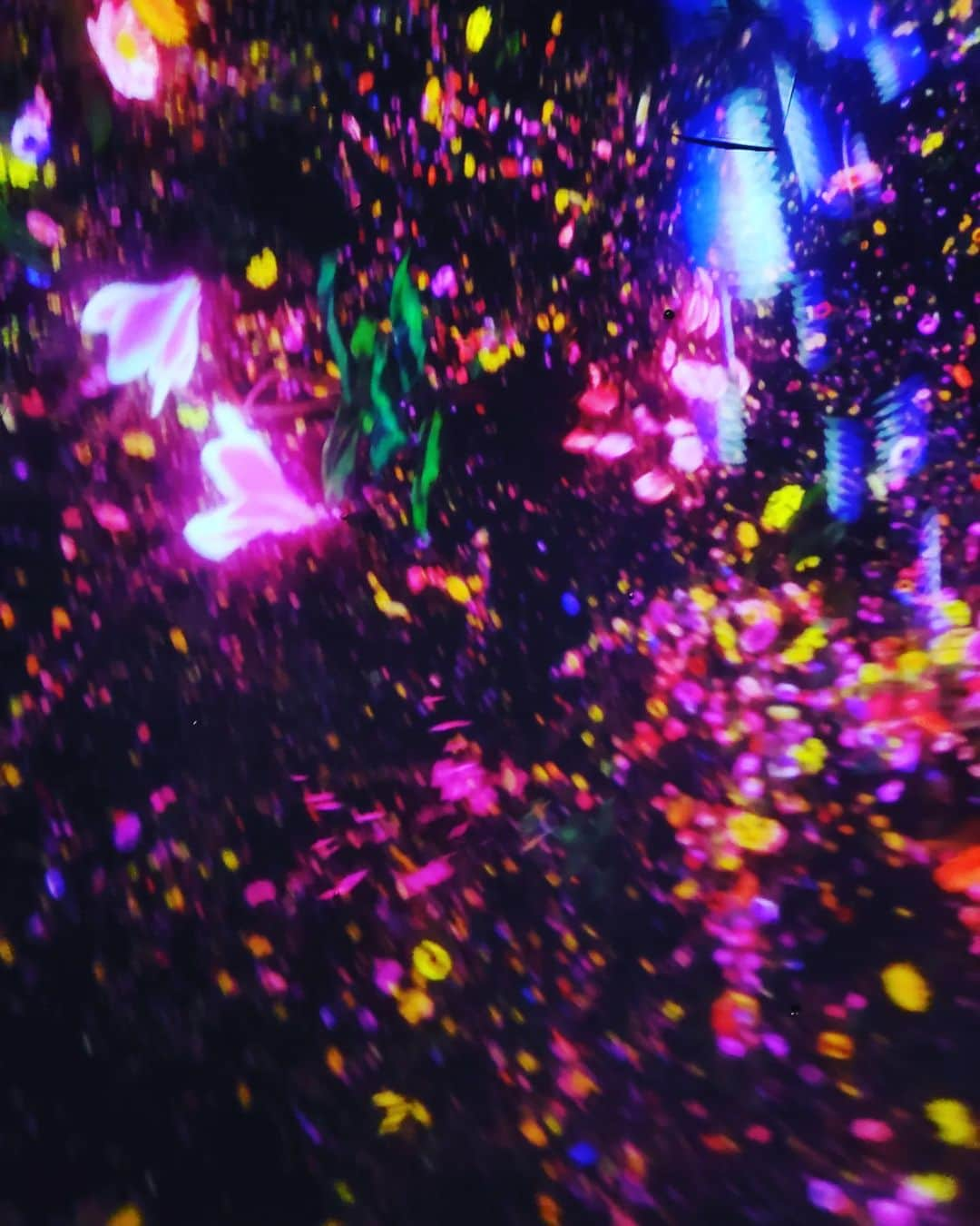 西真理子さんのインスタグラム写真 - (西真理子Instagram)「ずっと行きたかったTeamLab☆planets 母が遊びに来たので久々に2人でデートしてきました💕 真っ暗になったりキラキラな世界になったり普段体感できない未知な空間😃母も絶叫w　その姿に爆笑の私w 久々に（子供の時ぶり？）母と手を繋ぎました😁三半規管弱めなのでサングラスで防御w久々に私もはしゃいじゃいました😝ジャンプの所を📸ハズが着地😂母シャッター遅し。  【他社と共に、身体ごと投入し身体で認識、身体が世界と一体となる】  まさに身体でアートを感じる事ができました😀母も楽しんでもらえたようで良かった🤭息子に見せてあげたいけど連れてったら120%水遊びになるな😂  #teamlab #teamlabplanets #豊洲 #母とデート #一番の味方 #アート好き #いつまでも元気でいてね #お揃いサングラス #アイブレラシーク #親子でモデル」5月6日 11時50分 - mari.nishi.7