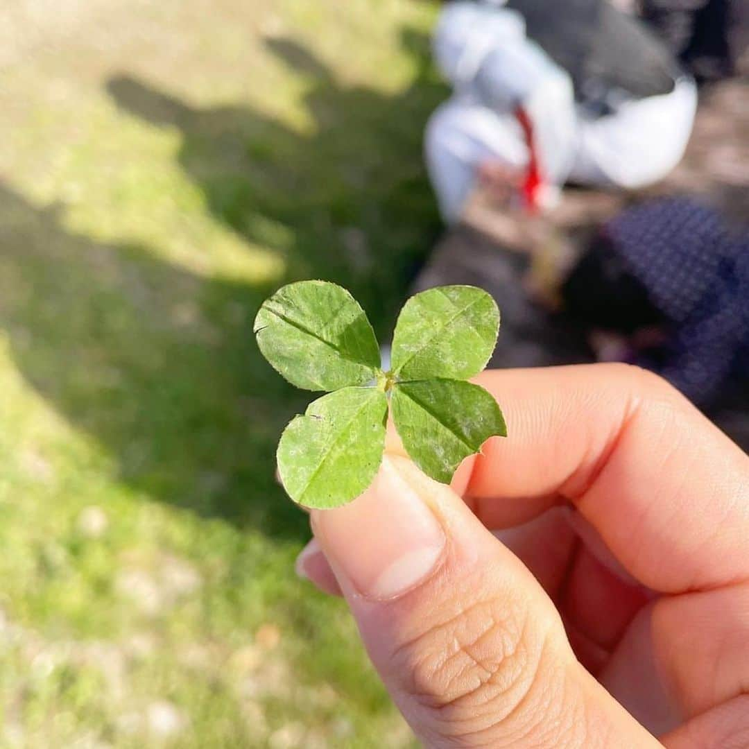 早川優衣さんのインスタグラム写真 - (早川優衣Instagram)「Local kids gave me lucky clover 🍀🤍 : #happyweekend」5月6日 11時58分 - yui_hayakawa