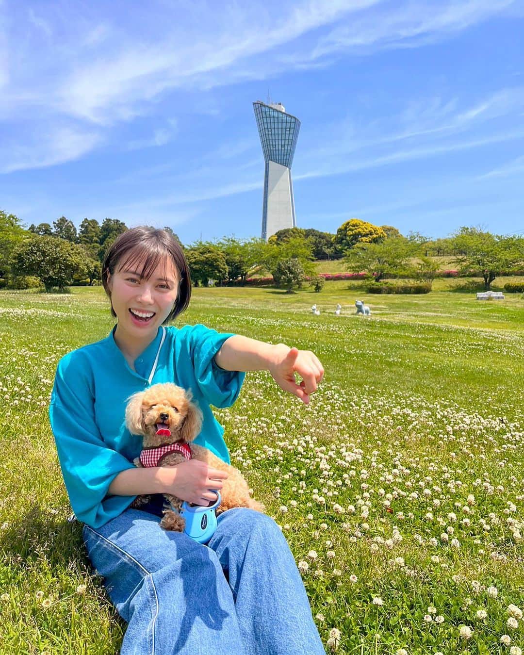 佐藤玲奈のインスタグラム：「.. 三崎公園でお散歩🐶 このあとポポは たくさんお水飲んでたくさん寝ました😪 カメラみてーって言ってます。  (2枚目、カフェでいい子にしてたポポ)  #三崎公園#ポポ#散歩 #いわき#福島#福島観光#GW」