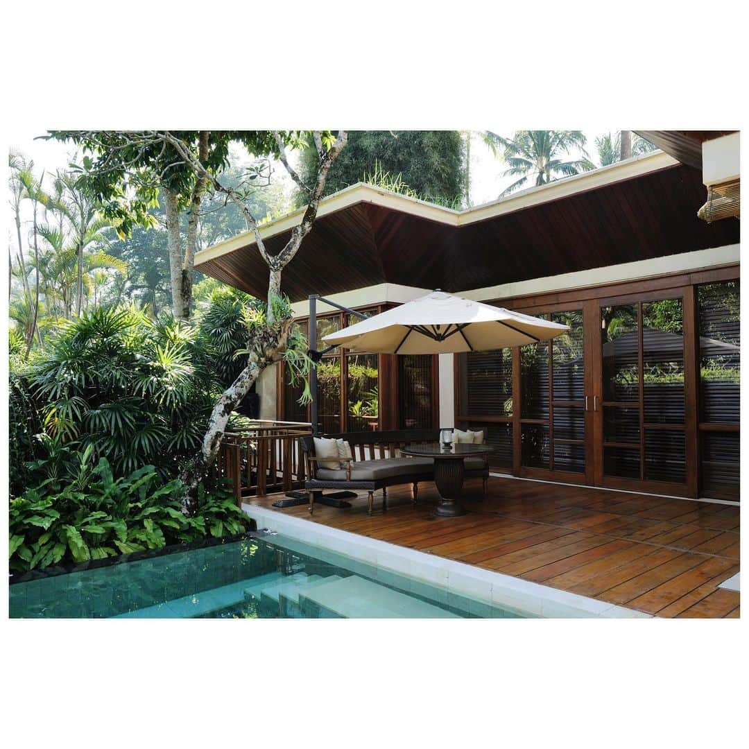JUNNAのインスタグラム：「🌿  Just 15 minutes from Bali’s artistic and energetic hub Ubud, Four Seasons Resort Bali at Sayan is tucked away in the island’s idyllic central highlands, along the Ayung River.  📍Jl. Raya Sayan, Sayan, Kecamatan Ubud, Kabupaten Gianyar, Bali 80571  @fsbali   #junna✈️ #only#ubud#bali#バリ」