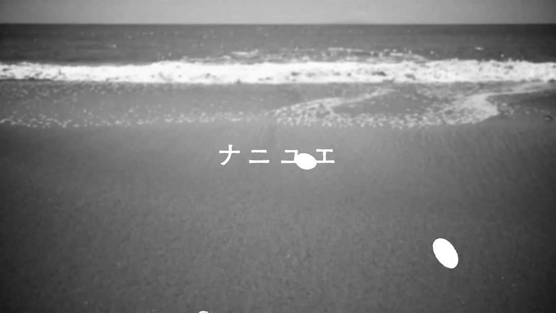 tacicaのインスタグラム