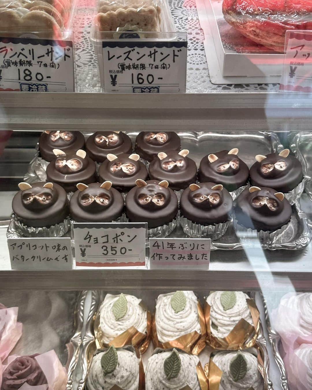 mimisomiさんのインスタグラム写真 - (mimisomiInstagram)「街のケーキ屋さん ちょっと時間があったので、その街のケーキ屋さんに遊びに行ってみた  かわいいタヌキちゃんのケーキは、しっかり洋酒が効いてる大人のチョコレートケーキだった🐻  ほかにもキュートな🐶ちゃんや🌹の乗ったケーキもあったので、いつかティータイムに食べたいな🥱🤍  #mimiカフェ千葉  #千葉観光 #千葉グルメ #千葉カフェ #千葉スイーツ #ガトープラリネ #洋菓子の店シャルロット #ケーキ屋さん #ケーキ屋さん巡り #チョコポン #ショコラケーキ」5月6日 22時40分 - mimisomi33