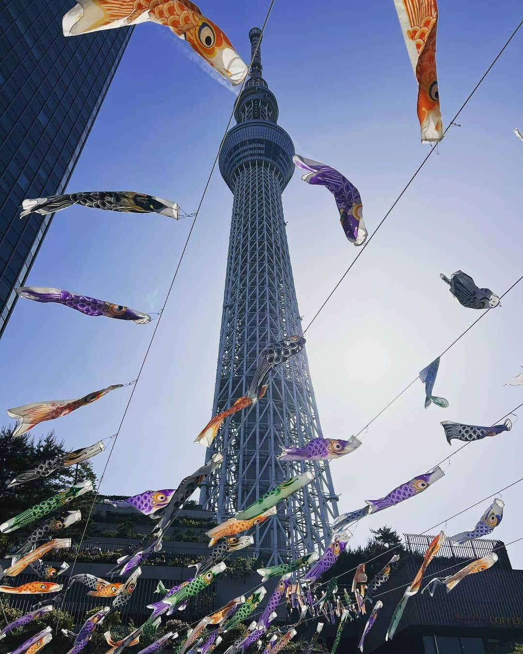 小林 ディスカスさんのインスタグラム写真 - (小林 ディスカスInstagram)「5月5日は、 こどもの日っ！！ 👱🏽‍♂️🩵🎏🎏🎏  母が東京に来ているので、 弟家族と、 東京スカイツリーにっ！！  鯉のぼりたちが、 大空に気持ち良く泳いでいましたっ！！  #tokyo #japan #fashion #beauty #東京スカイツリー #こどもの日 #東京ライフ」5月6日 23時09分 - discus_kobayashi