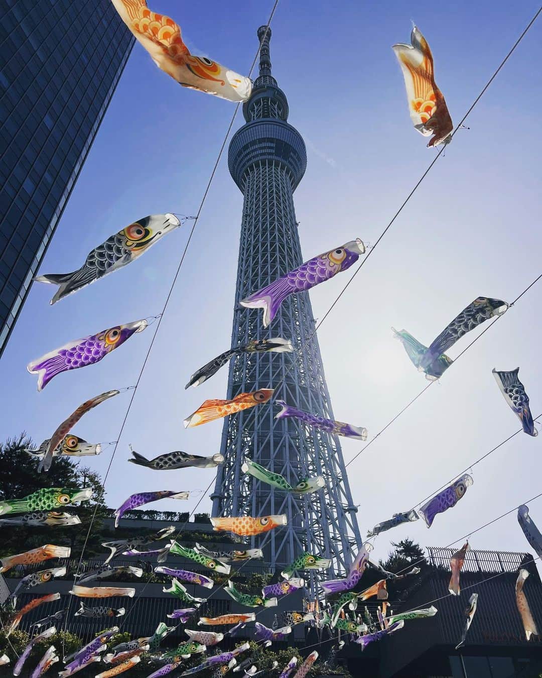 小林 ディスカスさんのインスタグラム写真 - (小林 ディスカスInstagram)「5月5日は、 こどもの日っ！！ 👱🏽‍♂️🩵🎏🎏🎏  母が東京に来ているので、 弟家族と、 東京スカイツリーにっ！！  鯉のぼりたちが、 大空に気持ち良く泳いでいましたっ！！  #tokyo #japan #fashion #beauty #東京スカイツリー #こどもの日 #東京ライフ」5月6日 23時09分 - discus_kobayashi