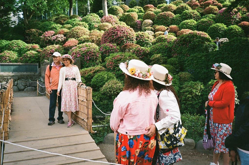 ハマ・オカモトのインスタグラム：「💐  Matching hats.  Fun memories.  Flowers that aren't blooming.」