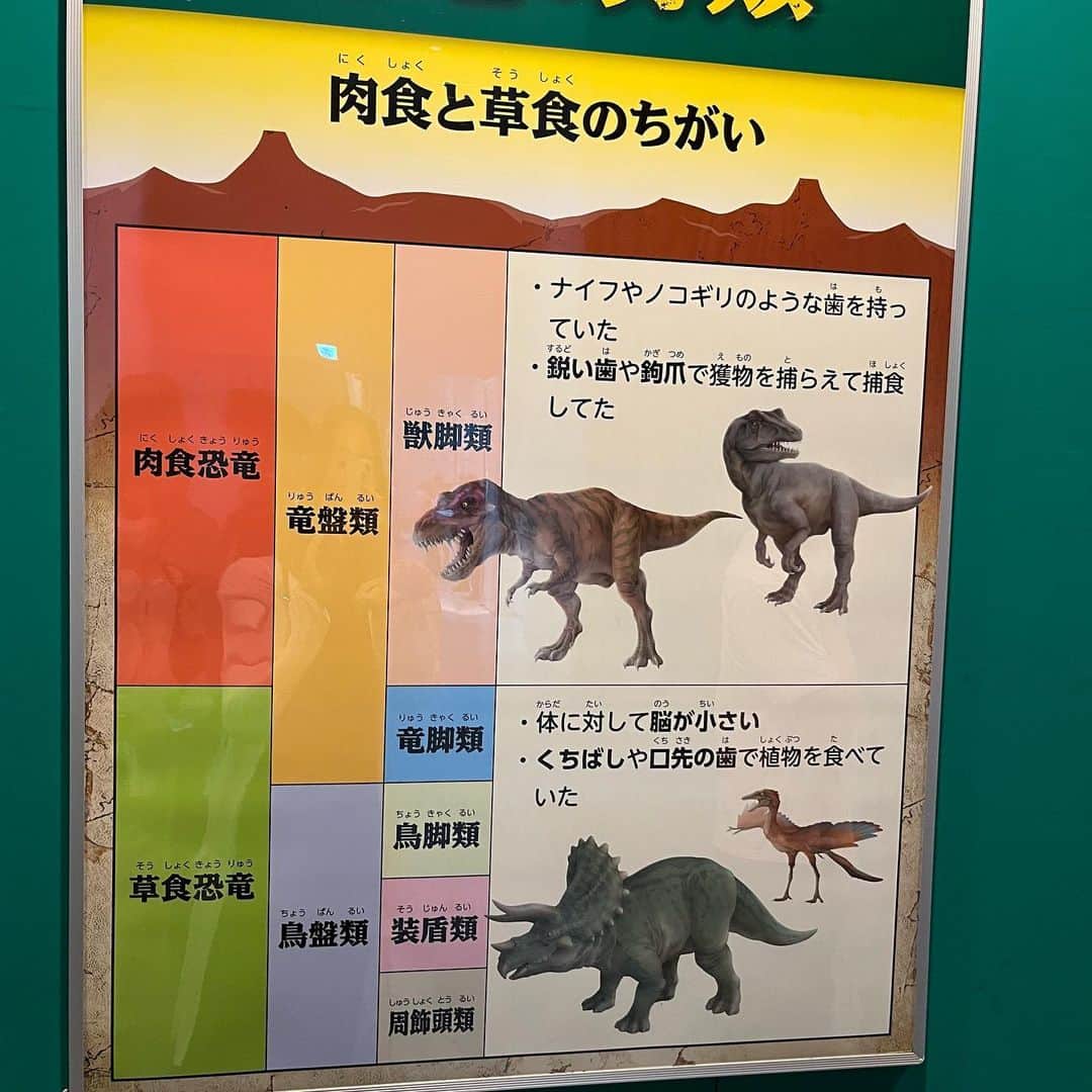 はるにゃんさんのインスタグラム写真 - (はるにゃんInstagram)「. 2023.5.3 #東京たま大恐竜博  行ってきました🦖🦕 次女が大好きな恐竜、探究心むき出しな次女は動くティラノザウルスに大興奮🤣🤣 最初は怖がって泣いてたのに最後は楽しかった！と大満足な様子でした。帰りにティラノのぬいぐるみも買ってこの日から夜一緒に寝てますよ笑。 次女は他にもライオン🦁虎🐅鮫🦈シャチ、ドラゴン🐉と…🤣🤣🤣🤣🤣 強いものにとにかく惹かれるようで血が騒ぐみたいですよ🤣 どんな子になるのかしらほんとに（笑） ですが好き！もっと見たい！知りたい！を大事に母はとことん付き合うわよ！ 長女まで恐竜の名前ほとんど覚えて言えてるから笑える（笑）」5月6日 23時15分 - haruxmama0907