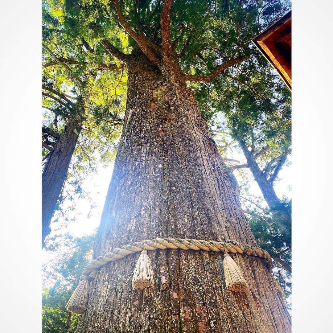 真下玲奈さんのインスタグラム写真 - (真下玲奈Instagram)「家族恒例行事の 三峰神社に行ってきました🙌  1年早いー！！  こんなに混んでるの初めて。 来年はゴールデンウィークはやめようねってなりました笑  とっても癒された☺️☺️☺️ みんなにもお裾分け  #三峰神社 #毎年恒例 #家族行事 #真下玲奈 #パワースポット神社  #埼玉県秩父市 #ゴールデンウィークの過ごし方  #神社好きな人と繋がりたい」5月6日 23時15分 - r.mashitaaa.221