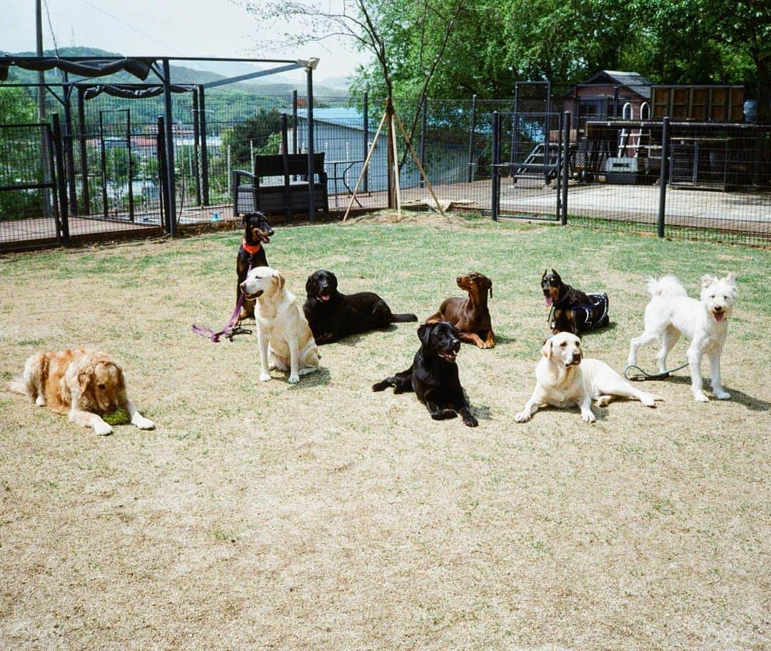 ペ・ジョンナムのインスタグラム：「LOMO로 찍은 벨과 친구들📸🎞️🎞️😍🩵🤎💚🧡💙」