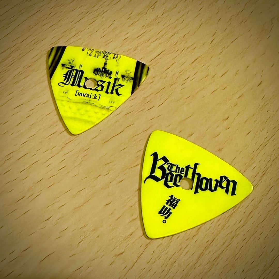 ADAPTER。のインスタグラム：「THE BEETHOVEN New Pick「Musik」」