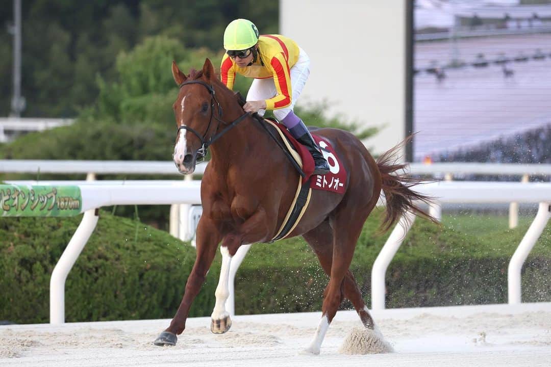 netkeibaのグルメインスタ