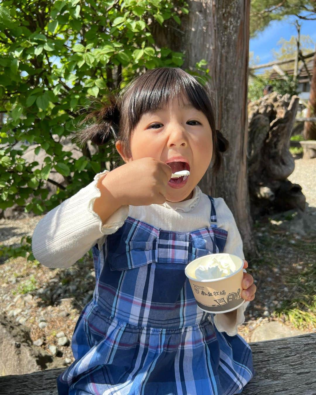 大浦育子のインスタグラム：「今年のGW♡ 南が丘牧場でソフトクリームデビュー🍦本当に幸せそう😂 ここのソフトクリーム本当おいしくてこれを食べたいがためだけに寄ったりします笑 お馬さんに乗れたりもするけど並びすぎて今回は断念、、、！ . #南が丘牧場#那須 #帰省#GW#3才半」