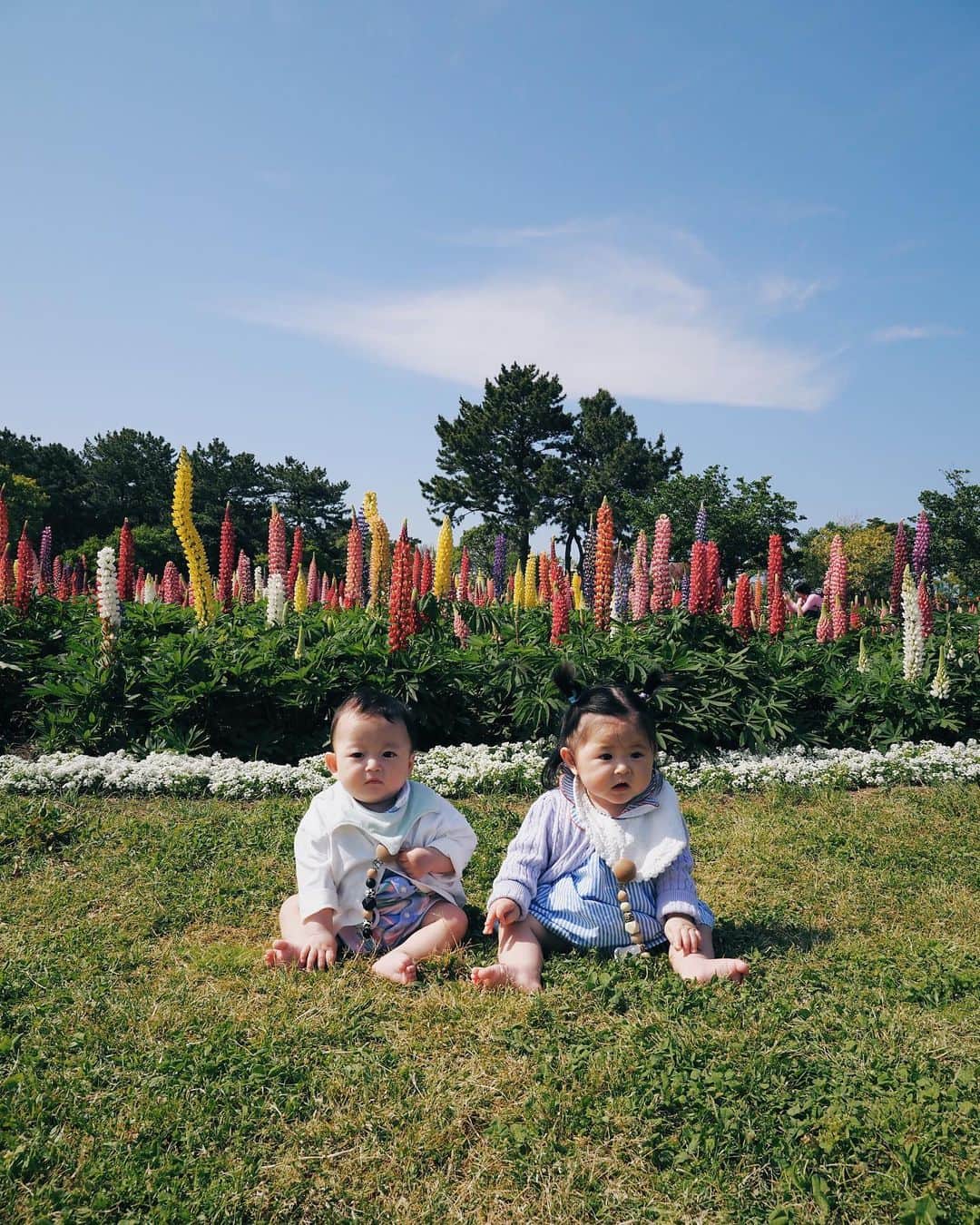 櫻井千尋さんのインスタグラム写真 - (櫻井千尋Instagram)「. 子どもが産まれて遊べるスポットを知るようになった🗾 楽しいことたくさんあるやーん！  おもしろいところはまだまだたくさんありそうだな〜いっぱいいろんなところ行って遊びたいな〜テントとか欲しいな〜🏕  #ネモフィラ #海の中道海浜公園」5月6日 16時56分 - chihirosakurai