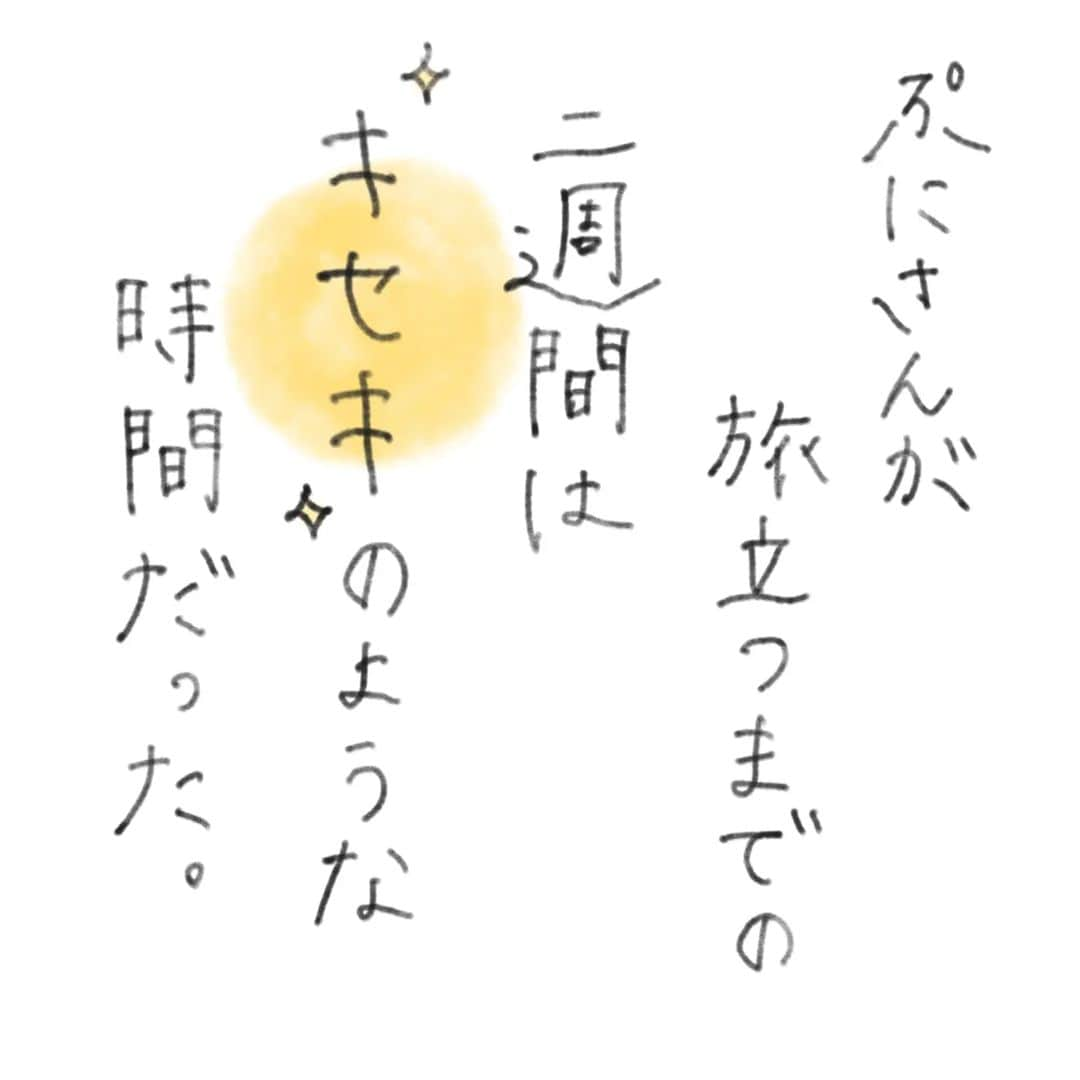 なっつ。さんのインスタグラム写真 - (なっつ。Instagram)「🐼✎𓂃𓈒𓏸  綴っていたら 思っていたより 膨らんでしまって 今半分？？くらいです。  見えないせかいのお話は 苦手な方もいると思うので 読みたい方だけ よかったら お付き合いください🙏  𓃠 𓂃𓈒𓏸  ぷにさんが お空へ旅立つまでの 2週間は奇跡のような 時間だった。  ステロイドの影響で 筋力も落ちて 足腰も弱っていたので  キャットタワーには もう何ヶ月も のぼれていなかったのに、  ／ キャットタワーの上にいる！？ どうやってのぼったの！？😳 ＼  ってことがあったり、  ちゃごたんと一緒にごはんを 食べてたり🐼🦁  大好きなカゴにも ヨタヨタって入って  足が引っかかることが 多かったのに スムーズに ひょいっと入ったりして  目に見える世界のぷにさんは いい方向へと 進んでいるように 見えていた。  だけど『進化論』の メッセージは 送られてくる。 相変わらず かかっていたんです。  きっと何かが 目に見えないところで 変わっているんだと 心のどこかで感じていて 怖くてたまらなかった。  ぷにさんのエンドロールが 少しずつ流れはじめているって 心のどこかで 受け取っていたから 怖くてたまらなかったの かもしれないな。  つづく。 ・ ・ ・ #ぷにさんの頑張りきろく#虹の橋 #ミスチル#mrchildren#進化論 #ペットロス#なっつの絵日記」5月6日 17時05分 - punipopo