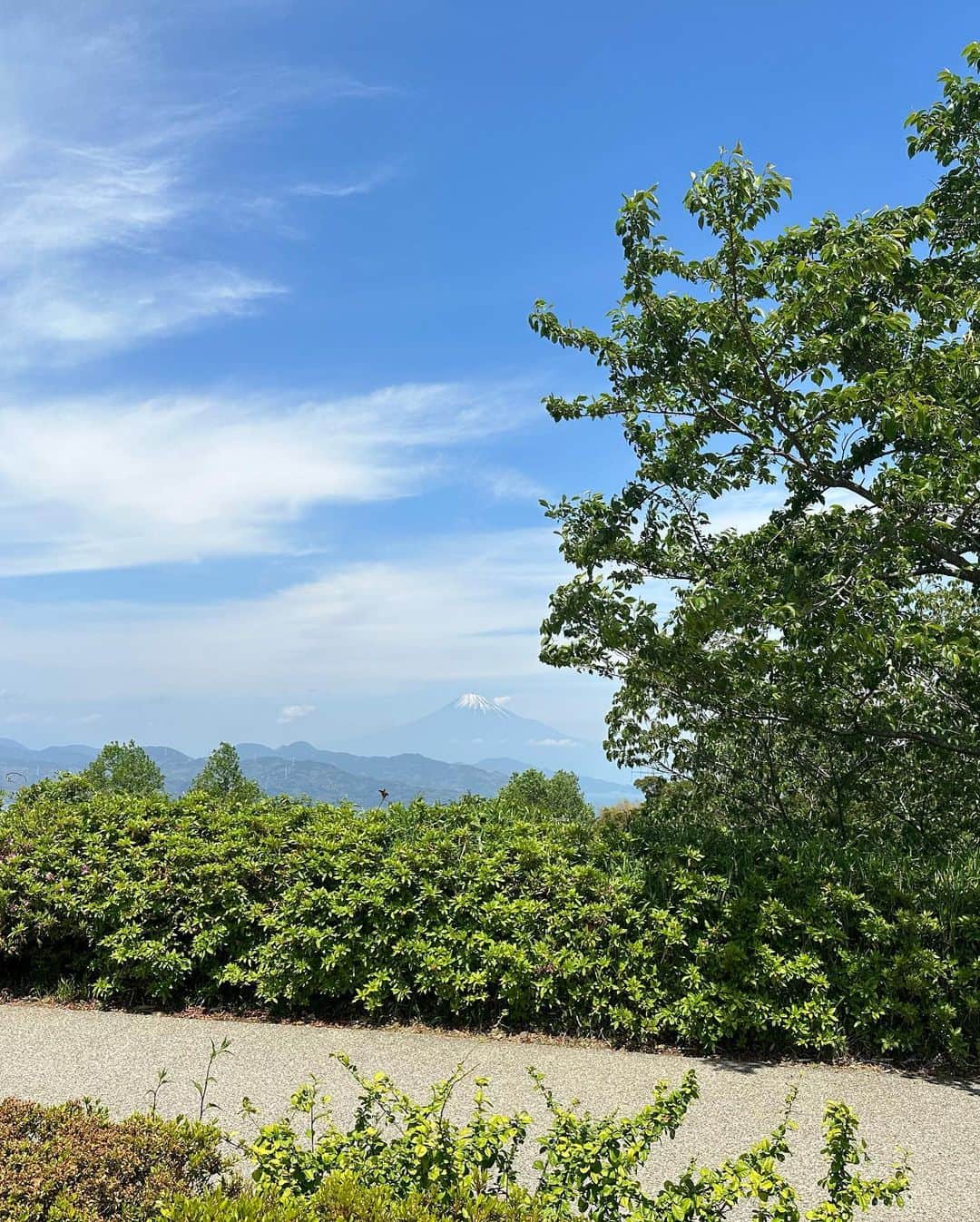 藤後 沙織 とうごさおりさんのインスタグラム写真 - (藤後 沙織 とうごさおりInstagram)「GW中は静岡へ🚆  行きたかった日本平の夢テラス✨  お天気も最高で、富士山もしっかり見えました🫶 富士山にはそこまで興味なかったのですが、実物を見ると美しくて荘厳で、なんだかこの旅で大好きになってしまいました🗻 自然がいっぱいで癒された♡  #日本平#日本平夢テラス #夢テラス #静岡#静岡旅行#gw#gw旅行 #gw2023#shizuoka#富士山#富士山が好き #富士山が見える #旅行#旅行好き#旅行好きな人と繋がりたい」5月6日 17時15分 - saori_togo