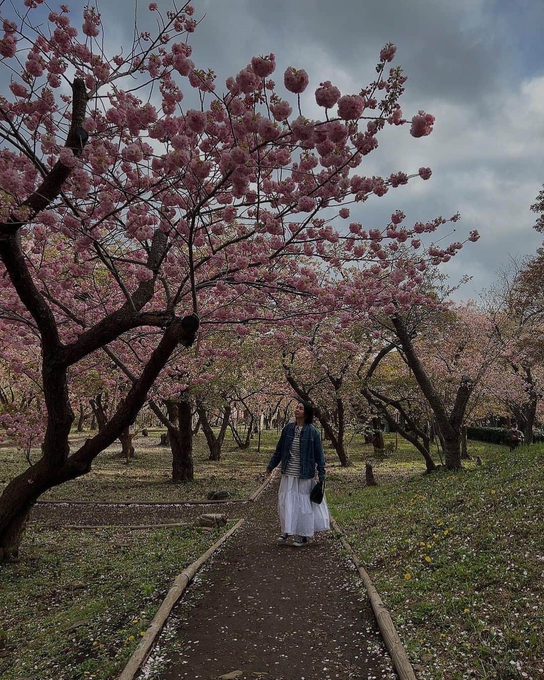 日下裕江のインスタグラム：「松前城(別名:福山城)🏯  北海道最南端の城  北海道における唯一の日本式城郭であり、日本最後の日本式城郭である。   桜の時期にはこんなに沢山の桜が咲いているとは🌸  桜祭りなどやっていて、 東京では絶対あり得ない価格で、 贅沢にも『あわびの味噌汁』丸ごと一個入りを食しました🤤  ヤバいうますぎ✨  幕府、土方歳三に攻め落とされたり、 後に『福山城』は焼失してしまったりと、色んなストーリーがありました。  松前方面もなかなか良いスポットが沢山あり、楽しめました♪  #松前城 #松前城の桜 #松前 #福山城 #函館 #北海道 #函館旅行 #函館観光」