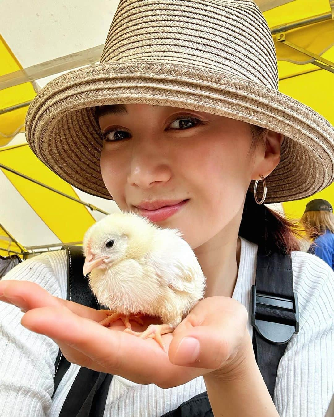 桐山マキさんのインスタグラム写真 - (桐山マキInstagram)「. . . 🐣♡  生まれて 一週間のヒヨコに会いました🐤 可愛い♡  👂💍 @h_jewelry_official   👒 @marihoja   #japan #jewelry  #hjewelry  #hat #marihoja  #summer  #fashion #love #chicken  #cute #ひよこ #可愛い #麦わら帽子 #マリホジャ #シンプルフープ #ジュエリー #お気に入り #夏日和 #日焼け防止 #🐤」5月6日 17時32分 - maki_kiriyama