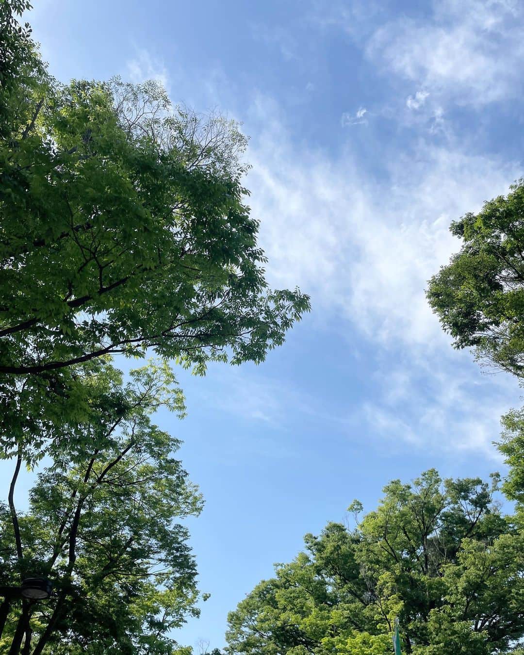 倉松すみれのインスタグラム：「am08:59 🌿♡ ⁡ ⁡ 人生を24時間とすると、 今の私は午前10時のちょい前くらい　   どんな日になるんだろうねぇ　 のんびり笑って楽しんで、コツコツと過ごしたいなぁ🐾🌼 ⁡ ⁡  ⁡」