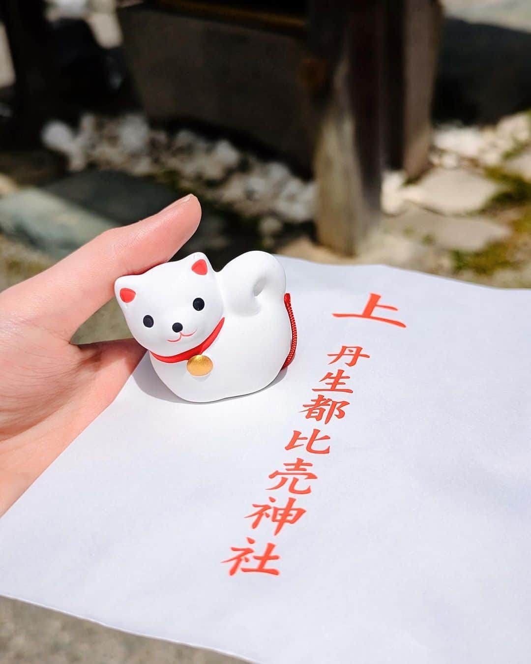 前田紀至子のインスタグラム：「一つ前の投稿の日のお昼、丹生都比売神社に参拝した際に目が合った「みちびき犬みくじ」。  特におみくじを引く予定はありませんでしたが、ご縁を感じて1匹お持ち帰りすることに。  ちなみに何故犬なのか？ 実は弘法大師様は黒と白の犬を連れた狩人によって導かれたことで、高野山を開創したという逸話が。  その狩人は丹生都比売大神の御子、高野御子大神であったと伝わってるそうです。  そんな訳でもちろん黒い犬のおみくじもありましたが、昔飼っていたのが白い犬（ポチ）の事を思い出して白い犬の方を選びました。  丹生都比売神社を訪れた際は是非みちびき犬みくじをどうぞ。  #丹生都比売神社#みちびき犬みくじ#おみくじ#犬好き」