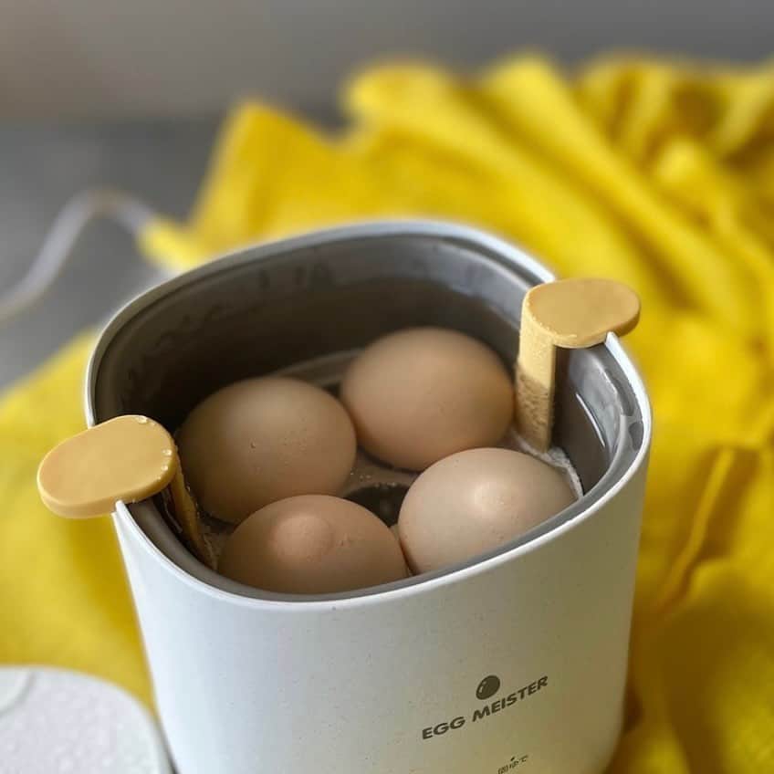212 KITCHEN STOREさんのインスタグラム写真 - (212 KITCHEN STOREInstagram)「【忙しい朝の強い味方】 『エッグマイスター🥚』 ━━━━━━━━━━━━━━━━━━━━ 一度に4個の茹で卵が作れるマシーンです。 卵と水を少量入れスイッチを押す！ あとは待つだけ。 固ゆで・半熟、温泉卵まで簡単に作ることができます。 その他、付属のグッズを使えばオムレツや蒸し料理もオッケー。  朝の忙しい時間に、ほったらかしで作れるのはとっても嬉しいですね。  　 ※在庫が流動的なため、欠品の場合がございます。 ※一部、お取り扱いのない店舗がございます。  ▼ストアリンクはプロフィールから! @212_kitchen_store ━━━━━━━━━━━━━━━━━━━ #212kitchenstore#212キッチンストア#212kitchen#212キッチン#エッグマイスター#🥚#茹で卵#半熟卵#温泉卵#時短#ほったらかし」5月6日 18時24分 - 212_kitchen_store