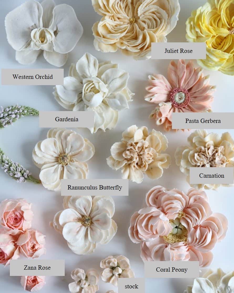 청담 수케이크 (atelier soo)のインスタグラム：「ㅡ Singapore class. Flowers 💌 @febspantry」