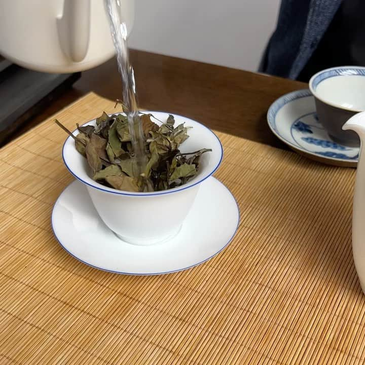 ハ・ヨンジュのインスタグラム：「#백차 #whitetea #수미 백차의 한 종류인 수미.  찻잎이 큰게 특징인데 실물로 처음 봐서 공유해요💙」