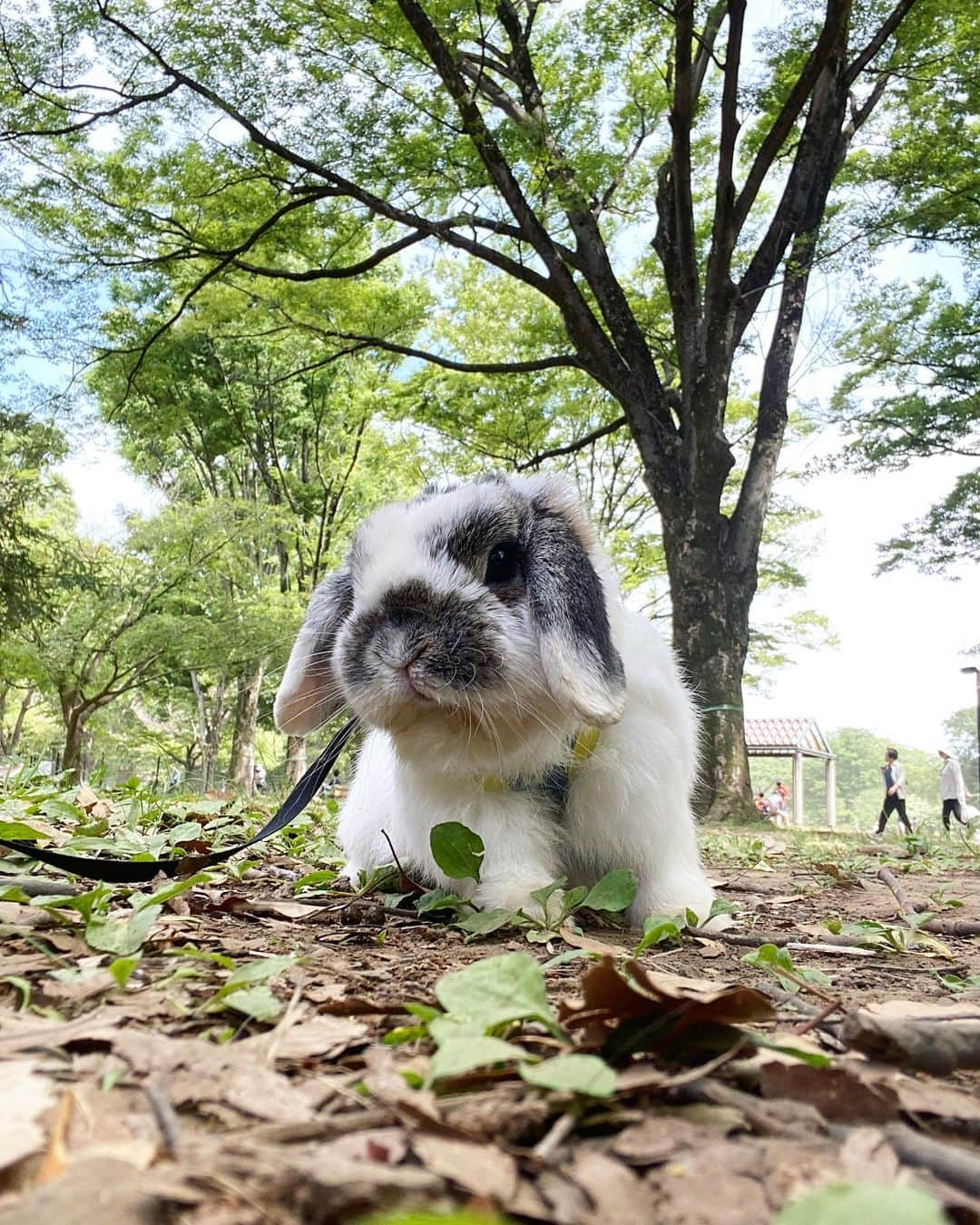 RIOのインスタグラム