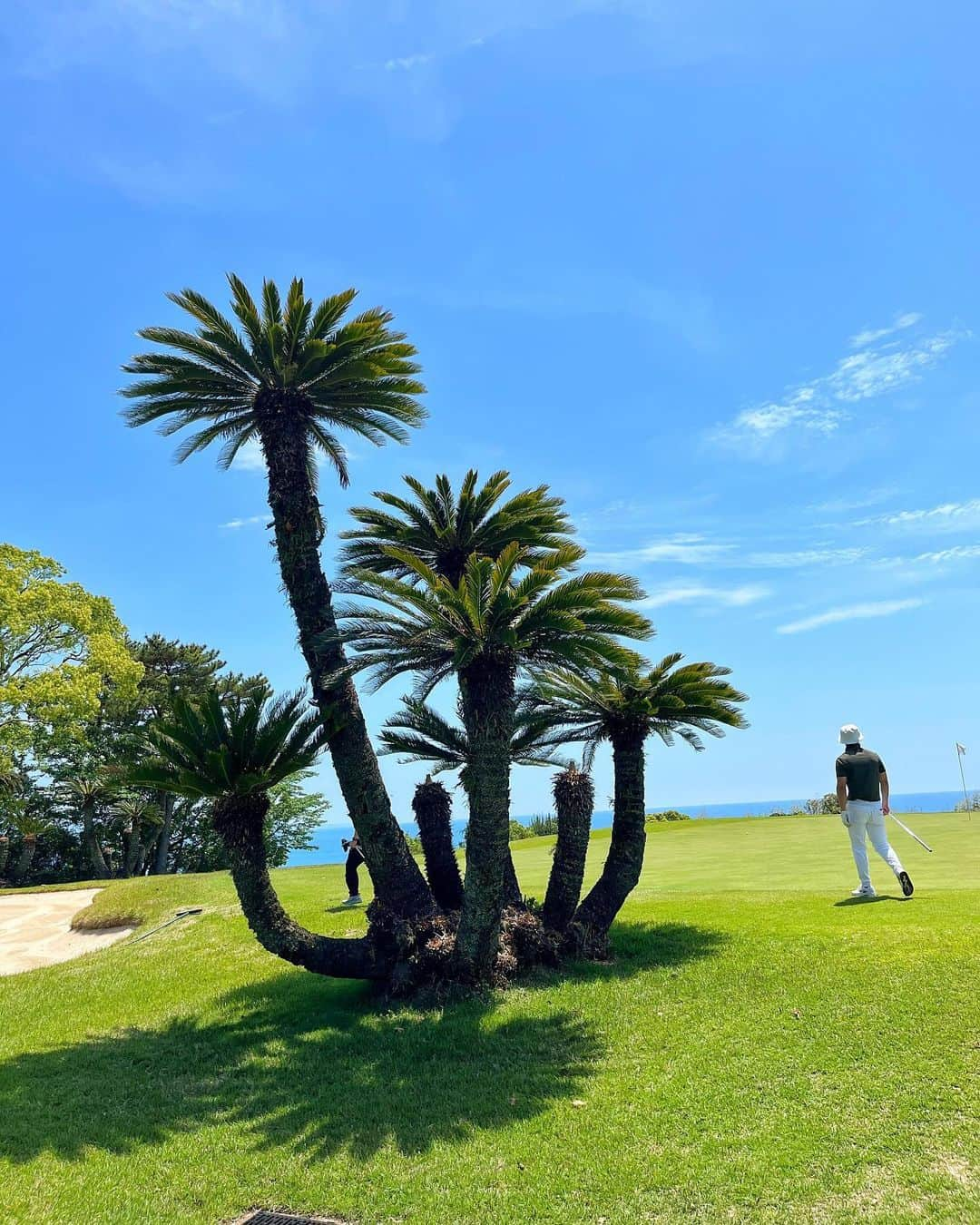 とくさきさんのインスタグラム写真 - (とくさきInstagram)「毎年行ってる土佐カントリークラブ💕⛳️ お散歩しながら、アプローチとかパターとかやって快適に健康に過ごしてました😌✨ . 毎回行く度に快晴だから、ほんとに最高な景色が見れてる❤️ 来年はまた来れるかどうか全然未定だけど、今年来れて良かった🥰 .  #ゴルフ#ゴルフ女子#golf#golfgirl#golfswing#ゴルフスイング#sports#スポーツ#スポーツ女子#골프#골프여자#尔夫球#高尔夫#ゴルフウェア#golfwear#土佐カントリークラブ」5月6日 19時20分 - tokusaki_golf