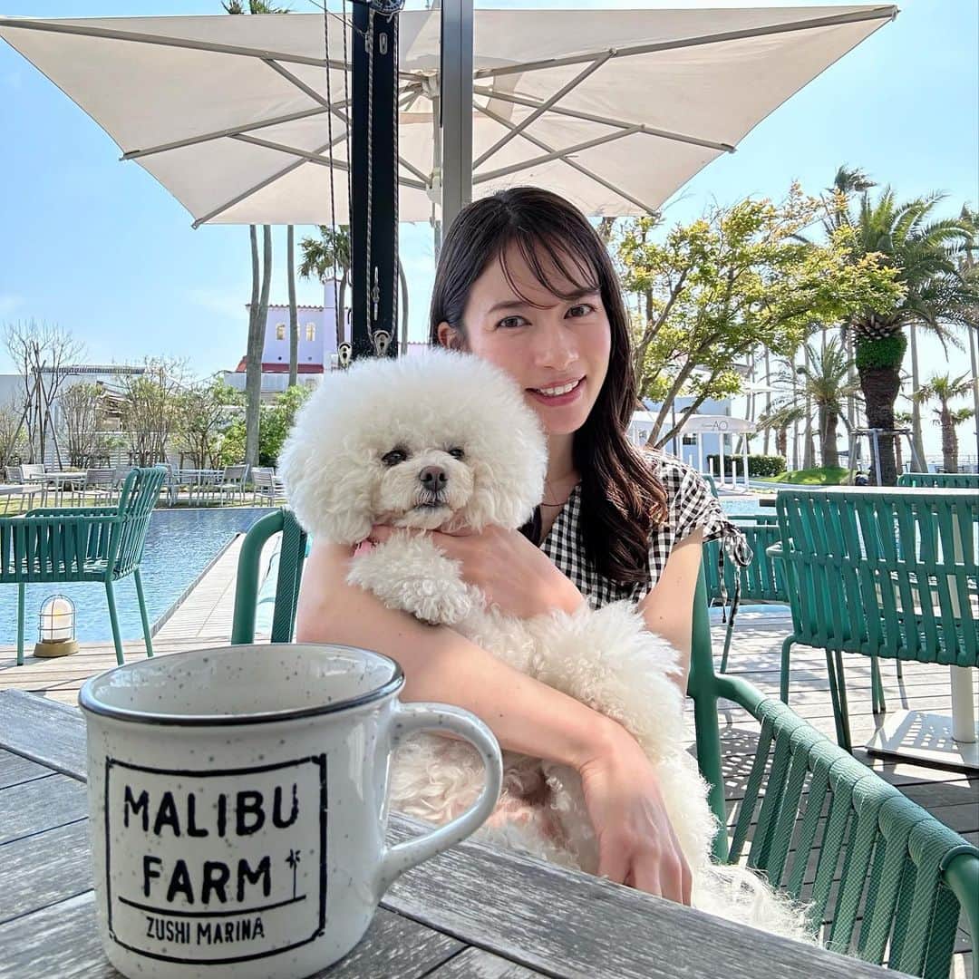 宇内梨沙のグルメインスタ