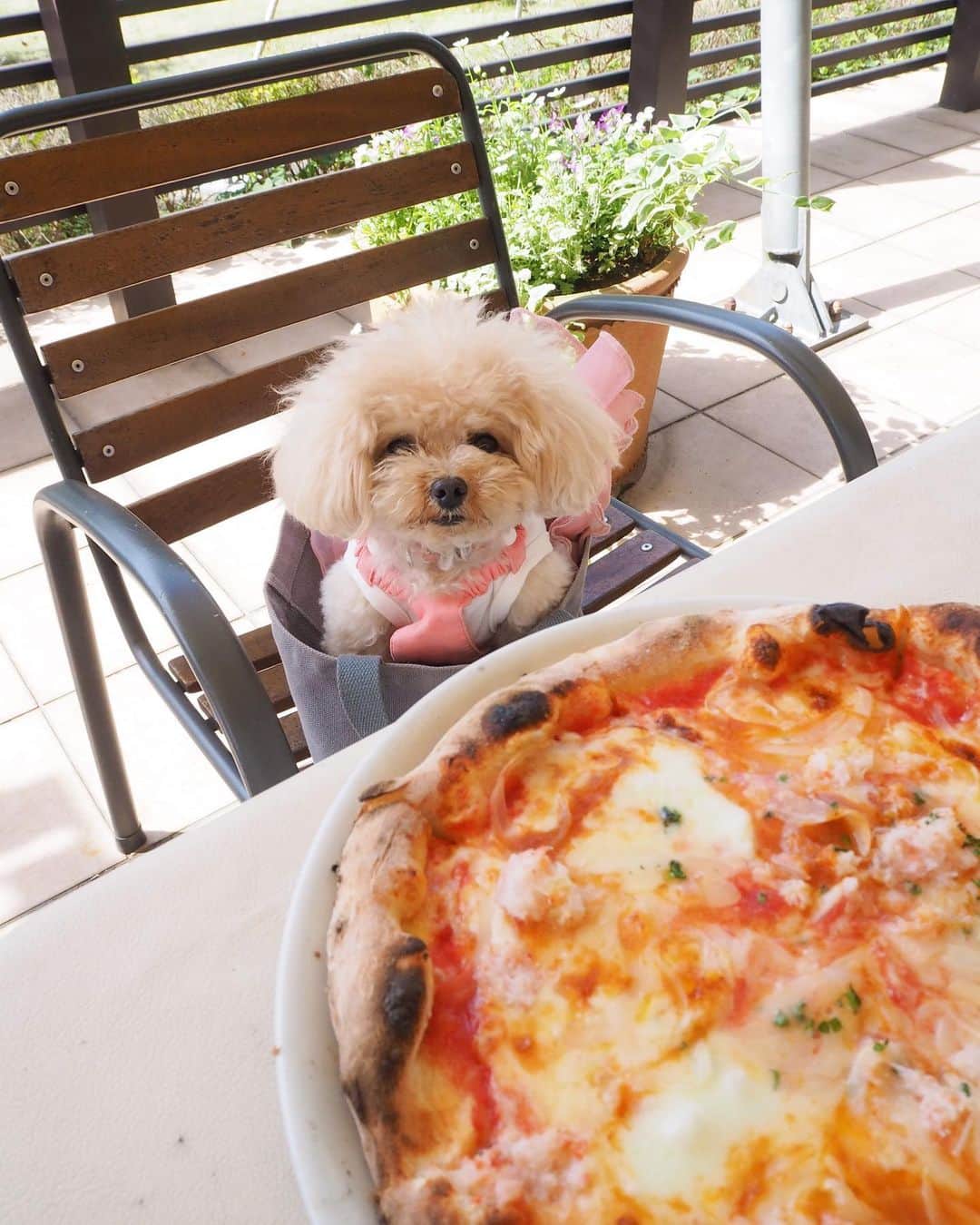 くるみたんのグルメインスタ