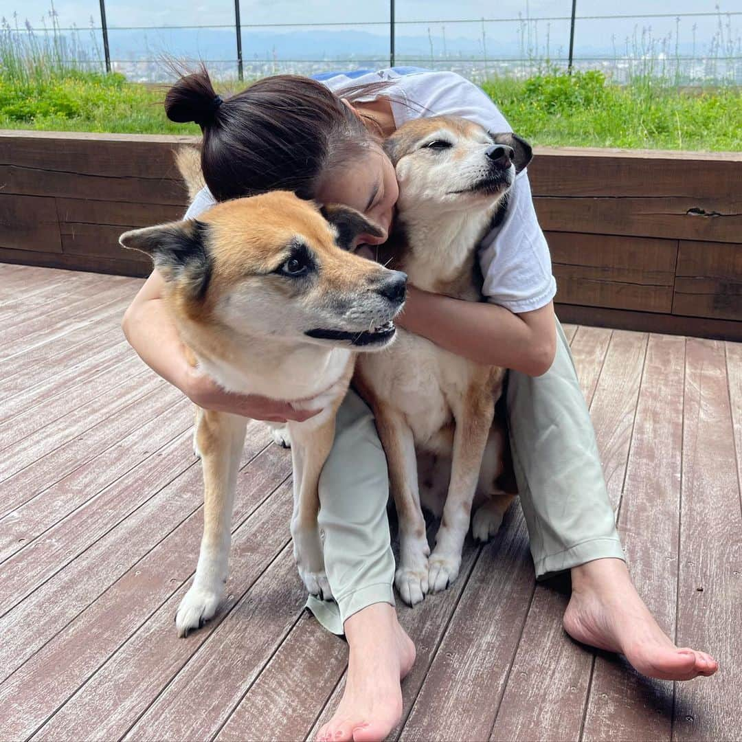 澤田泉美のインスタグラム：「5月5日サクモン14歳になりました🐶🐶❤️ 盛大な拍手👏👏👏  元気にここまで、ありがとう🥹❤️❤️❤️ 最近は、交互で調子を崩す時もあるけど、それでも足腰元気にいつもいつもいてくれること、本当にありがとうだよ🥹🥹🥹  まだまだ長生きしてね‼️‼️‼️ と、いつも思っているけど それでも、あと数年かもしれないと思うと もっともっと本当に日々を大切にしないとだね。  ここからさらに、サクモンとの思い出を作っていきたいな。  #サクモン#誕生日 #5月5日 #14歳#👏👏👏 #保護犬#雑種」