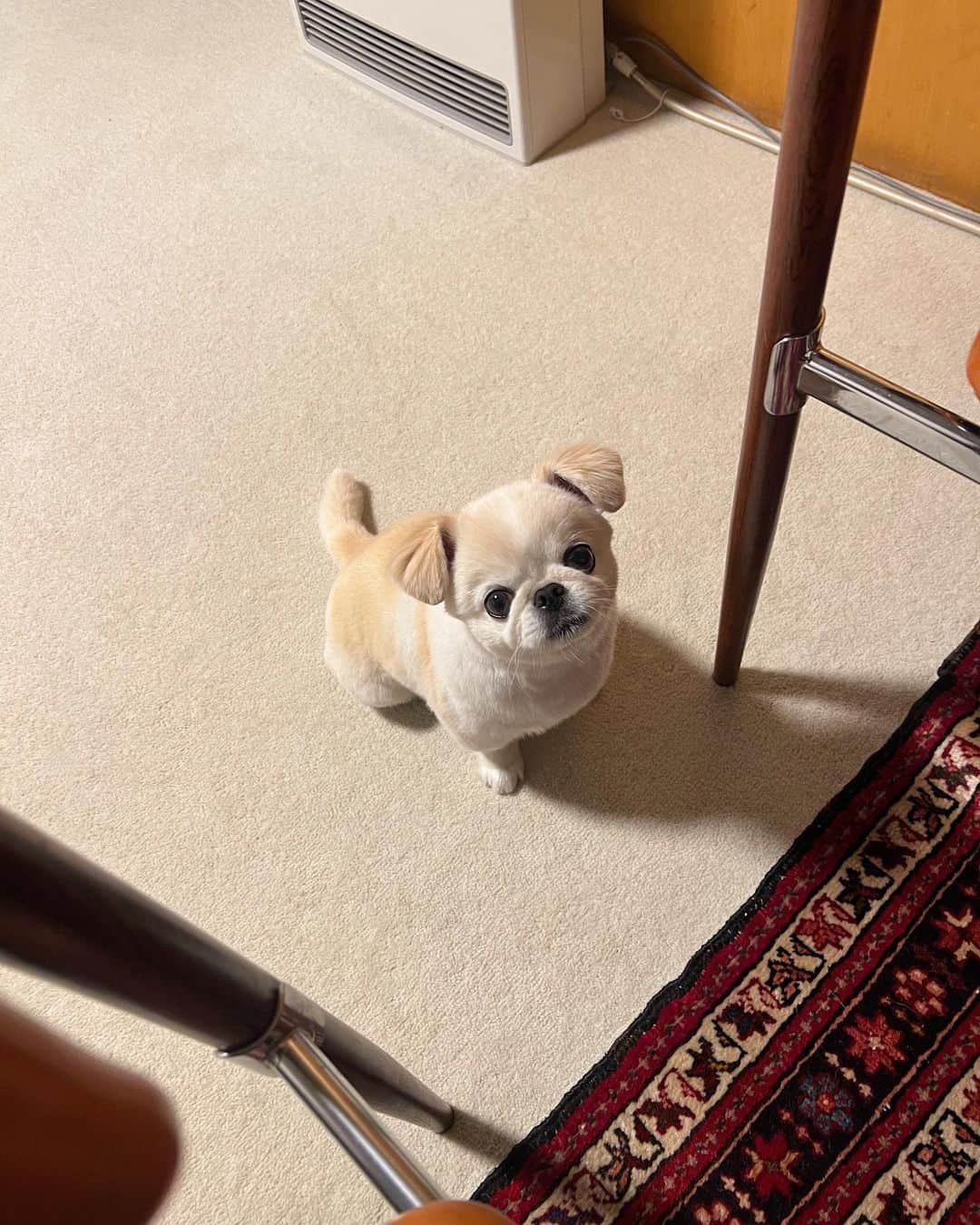 のインスタグラム