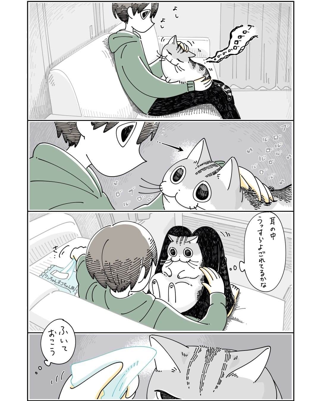 キュルZのインスタグラム：「耳掃除  #キュルガ #夜は猫といっしょ #猫 #cat #猫漫画 #猫のいる暮らし」