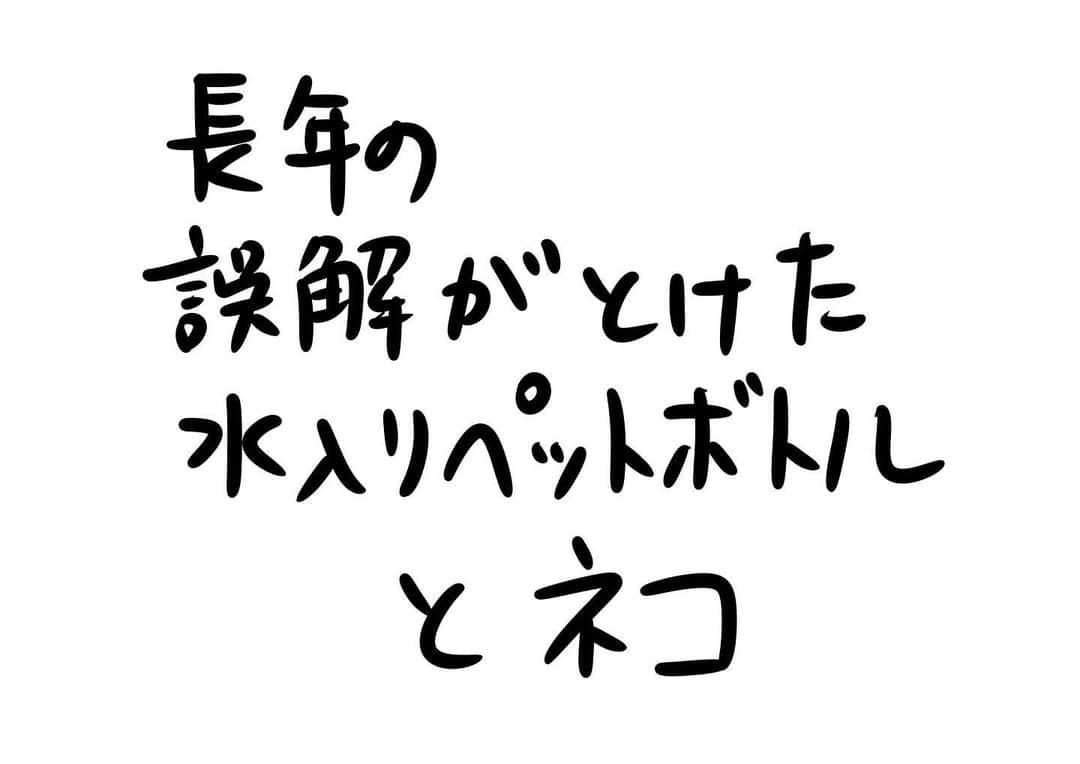 おほしんたろうのインスタグラム：「そうだったんすね . . . . . #おほまんが#マンガ#漫画#インスタ漫画#イラスト#イラストレーター#イラストレーション#1コマ漫画」
