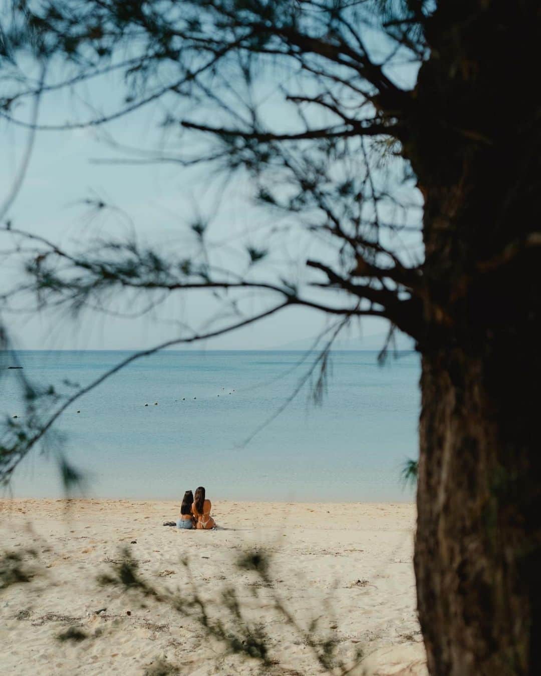 SÜMIREさんのインスタグラム写真 - (SÜMIREInstagram)「. 3年前に @celina___official の撮影で仲良くなった アンジーとたくみくん🌼 今回の沖縄旅行でたまたまタイミングが合って たくみくんに会えたんだ☺️🏝️ いつも自然体で素敵な写真を撮ってくれてありがとう🌞 . 📸 by @takumib97  . #okinawa#beach#ocean#bikini#travel#japan#沖縄#旅行#女子旅#沖縄旅行#ビーチ#カメラ#被写体」5月6日 20時11分 - 12_sumiregram_26