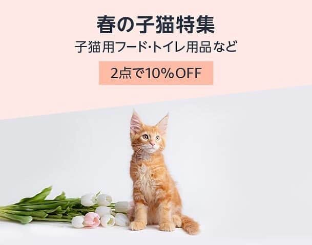 猫壱（ねこいち•ネコイチ）のインスタグラム：「【猫壱からのお知らせ】  Amazonにて花王さん・マースさん・猫壱商品のまとめ買いキャンペーンを実施中です👍✨ 対象商品を2点以上購入すると10%OFF、3点以上購入すると15%OFFになる、とってもお得なキャンペーンです🐾  セール実施期間：4/21（金）～6/4（日）  🔸対象の猫壱商品🔸 ・脚付フードボウル猫柄レギュラー ・バリバリベッドM　猫柄・ライトブラウン・ダークブラウン ・バリバリベッドL　ライトブラウン・ダークブラウン ・バリバリベッドMワイド ・バリバリベッドラウンジ　ライトブラウン・ダークブラウン  参加メーカー：花王様、マース様  猫壱商品以外でも参加メーカー様の対象商品がとってもお求めやすい価格で購入できるチャンスです🙌✨  欲しいものが対象商品になっていないか、ストーリーズのURLよりぜひチェックしてくださいね🥺❤︎   :::::::::#猫壱 :::::::  猫壱は\猫が幸せ、私も幸せ/をモットーに猫グッズの開発に取り組んでいます🐾 ▫ 気になる方は @necoichicojp をチェックしてみてくださいね！ ▫  ................................................  #猫壱#necoichi#セール情報#猫壱からのお知らせ #セール#猫#猫好きさんと繋がりたい #ねこと暮らす #猫の幸せ」