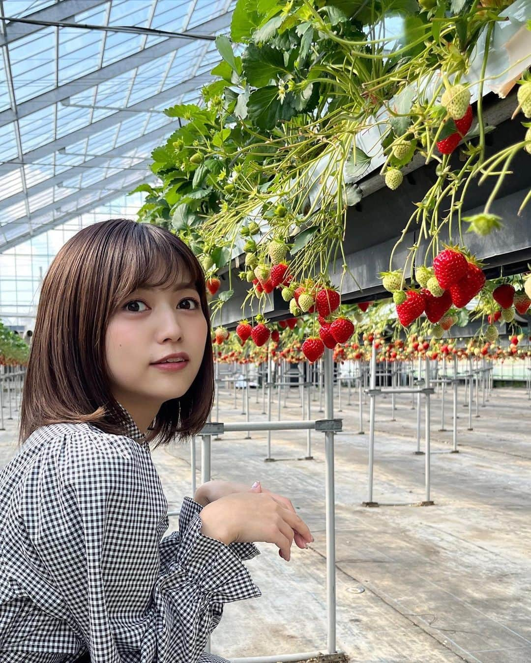 中村歩加さんのインスタグラム写真 - (中村歩加Instagram)「GWは、 いちご狩りに行きました🍓 新潟のいちごといえば、越後姫！ 甘くてみずみずしくて めちゃめちゃ美味しかった～～！   みんなは、 どんなGWをすごしましたか？コメントで教えてね🐻‍❄️💬！  # いちご狩り#苺 #イチゴ #新潟観光 #新潟旅行 #白根グレープガーデン #f #fyp #gw旅行 #gw #イチゴ狩り #ブラウンカラー #ootd #ワンピースコーデ  #1枚目の手のくせ」5月6日 21時00分 - nakamuland_official