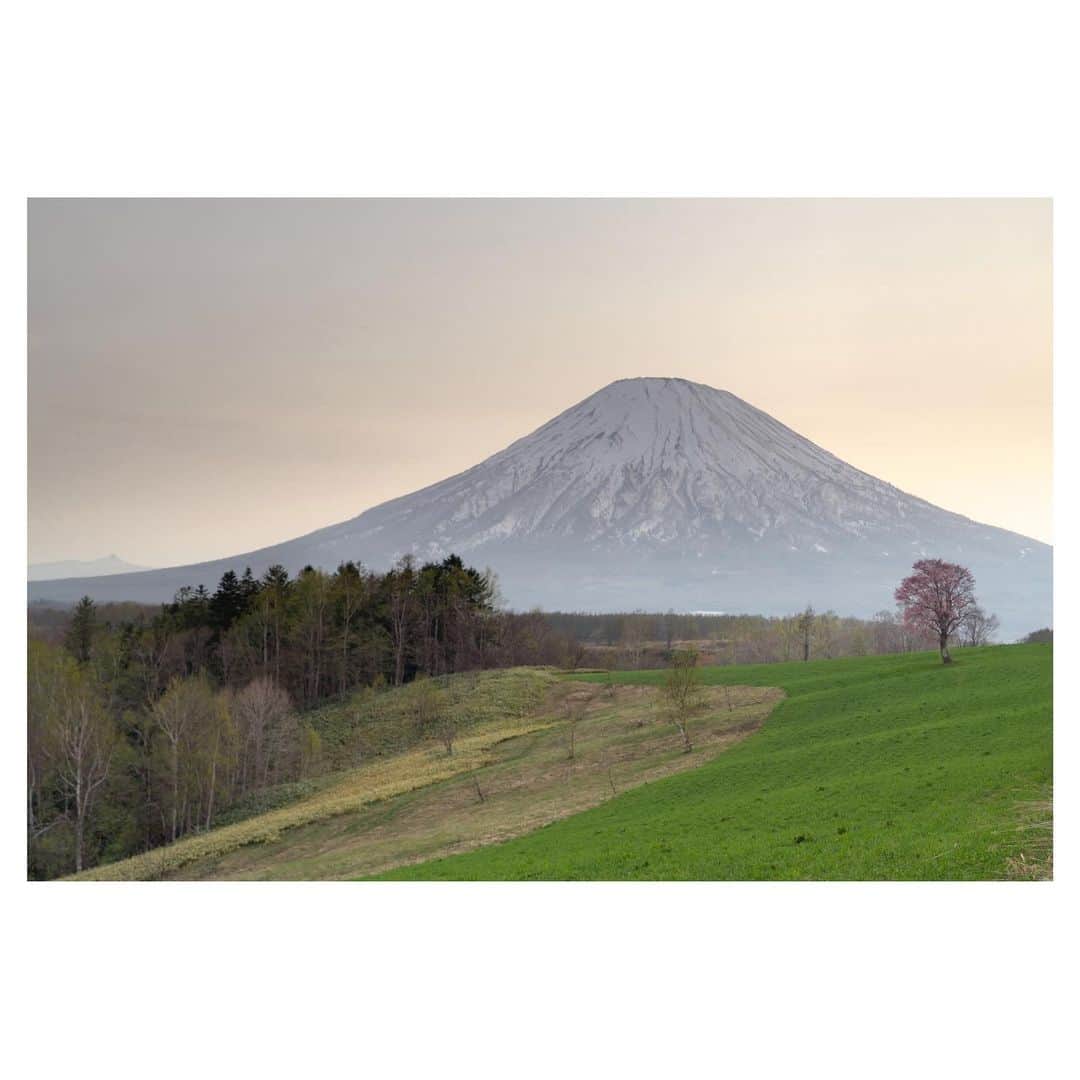 Hikaruのインスタグラム：「Mt. Yotei and one cherry tree.  It was a beautiful moment.  羊蹄山と1本桜  まだ、3分咲きくらい。 焼けなかったけど、綺麗な瞬間でした。 また、行きたいな。 その道を行く。  #nisifiltersjapan   #東京カメラ部 #1x #raytrek #raytrek_photo  #raytrek_uniquetome #natgeo #naturegeography #photogrena_nature #photo_shorttrip #japan #hokkaido  #写真好きな人と繋がりたい #北海道 #Japan_ilc #japantravelers #raytrek_photographer #SonyAlphaPro #photo_shorttrip #photo_travelers #lovers_nippon  #1x_japan #bestjapanpics」