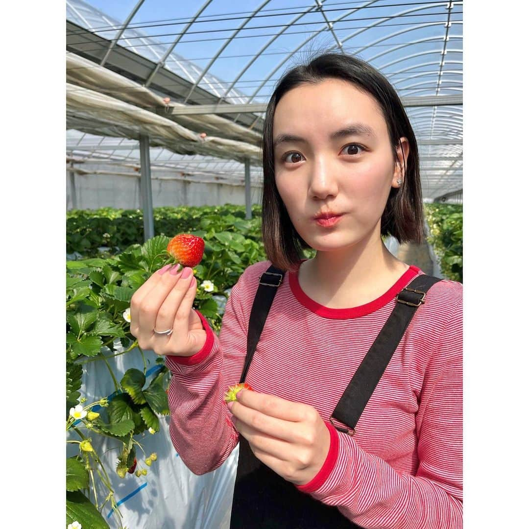 亘理舞さんのインスタグラム写真 - (亘理舞Instagram)「🍓 赤いストライプのトップスと 靴下のピンクロゴと ピンクネイルで いちご狩りっぽさを意識した服！☺︎☺︎ ・ ・ ・ ・ ・ ・ #春服コーデ#いちごコーデ#いちご狩りコーデ#いちご狩り🍓#サロペスカート#ジャンスカ#赤トップス#赤ボーダー#靴下コーデ#白靴下#バレエシューズ#バレエシューズコーデ#白靴下コーデ#白靴下クラブ#白ソックス#白ソックスコーデ #顎ラインボブ#ストレートボブ#黒髪ボブ#ボブヘア#前髪長めボブ#ぼぶへあー#ボブカット#ボブ女子#ボ部#ボブヘアー#おしゃれ靴下#靴下マニア#亘理舞」5月6日 21時32分 - mai_watari_official