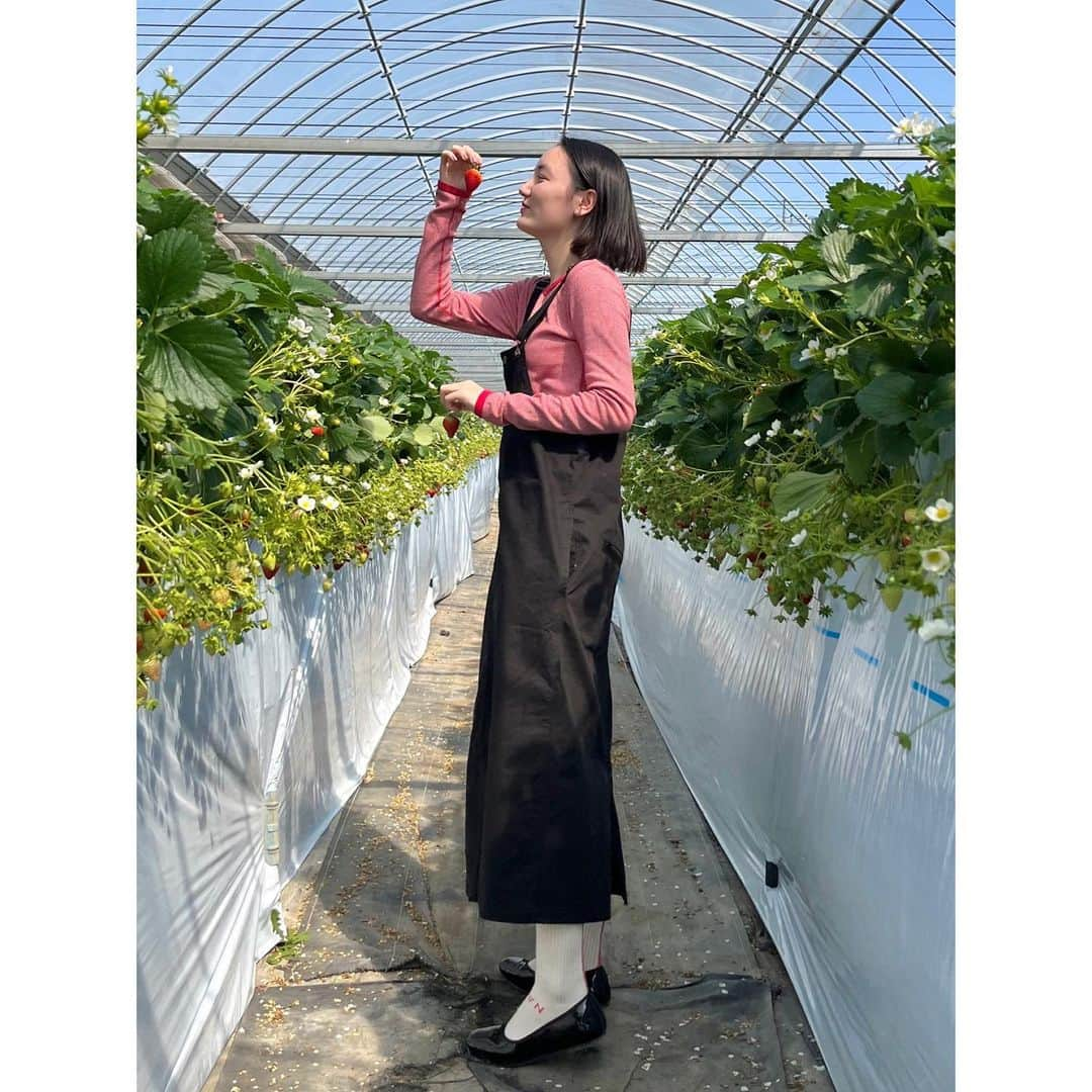 亘理舞さんのインスタグラム写真 - (亘理舞Instagram)「🍓 赤いストライプのトップスと 靴下のピンクロゴと ピンクネイルで いちご狩りっぽさを意識した服！☺︎☺︎ ・ ・ ・ ・ ・ ・ #春服コーデ#いちごコーデ#いちご狩りコーデ#いちご狩り🍓#サロペスカート#ジャンスカ#赤トップス#赤ボーダー#靴下コーデ#白靴下#バレエシューズ#バレエシューズコーデ#白靴下コーデ#白靴下クラブ#白ソックス#白ソックスコーデ #顎ラインボブ#ストレートボブ#黒髪ボブ#ボブヘア#前髪長めボブ#ぼぶへあー#ボブカット#ボブ女子#ボ部#ボブヘアー#おしゃれ靴下#靴下マニア#亘理舞」5月6日 21時32分 - mai_watari_official