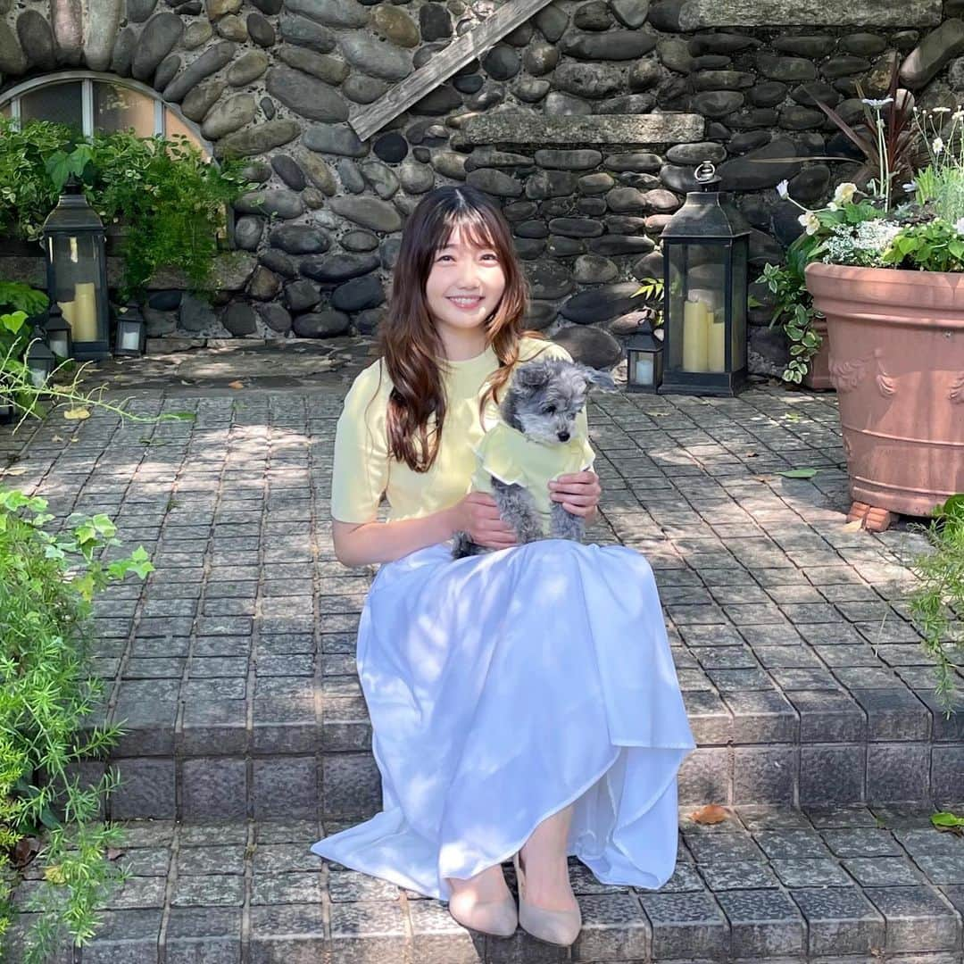 橘珠里さんのインスタグラム写真 - (橘珠里Instagram)「🐾 𝗥𝗢𝗣𝗘' 𝗣𝗜𝗖𝗡𝗜𝗖 𝗗𝗢𝗚 x 𝗥𝗢𝗣𝗘' 𝗣𝗜𝗖𝗡𝗜𝗖 ꗯ̤̮  楽しいブレアとの時間が、さらに何倍も楽しくなるリンクコーデ💛  ブレアも私も、ロペピクニックのサマーニットを着ています⸝⋆  愛犬とリンクコーデができるように販売されていて、同素材、同カラーなのが嬉しい👏🏻  しかも地球環境にやさしい方法で生産された、サステナブルなアイテム だそうです🌿   わんちゃん用は肩のフリルがポイントで、白のラインも入っていて上品です♡  私が着用しているニットプルオーバーは、スカートだけでなくパンツにも合わせやすいデザインがとても便利で気に入っています⋆͛  サラッと涼しい着心地で、ブレアも私も大満足でした✌︎  ❐🐕‍🦺 𝗕𝗹𝗮𝗶𝗿 『配色フリル袖ニット』 @ropepicnic_dog  ❏着用サイズ… 𝐋 ❐体重 約𝟒.𝟔𝐤𝐠 / 胴回り 約𝟒𝟕𝐜𝐦  ❏ 🙋🏻‍♀️ 𝗝𝘂𝗿𝗶𝗻𝘂 『𝐁𝐞𝐚𝐮𝐭𝐲 𝐤𝐧𝐢𝐭/ハーフスリーブニットプルオーバー』 @ropepicnic_official   #ロペピクドッグアンバサダー #ロペピクニックドッグ #ロペピクニック #ロペピクドッグ #わんことお揃い #リンクコーデ #わんことリンクコーデ #愛犬とリンクコーデ #サマーニット #春服コーデ #夏服コーデ #マルプー #マルプーふわもこ隊 #わんこのいる生活 #いぬすたぐらむ  #ropepicnic #ropepicnic_dog #ropepicnicdog #maltipoo #dogstagram」5月6日 21時26分 - jurinu