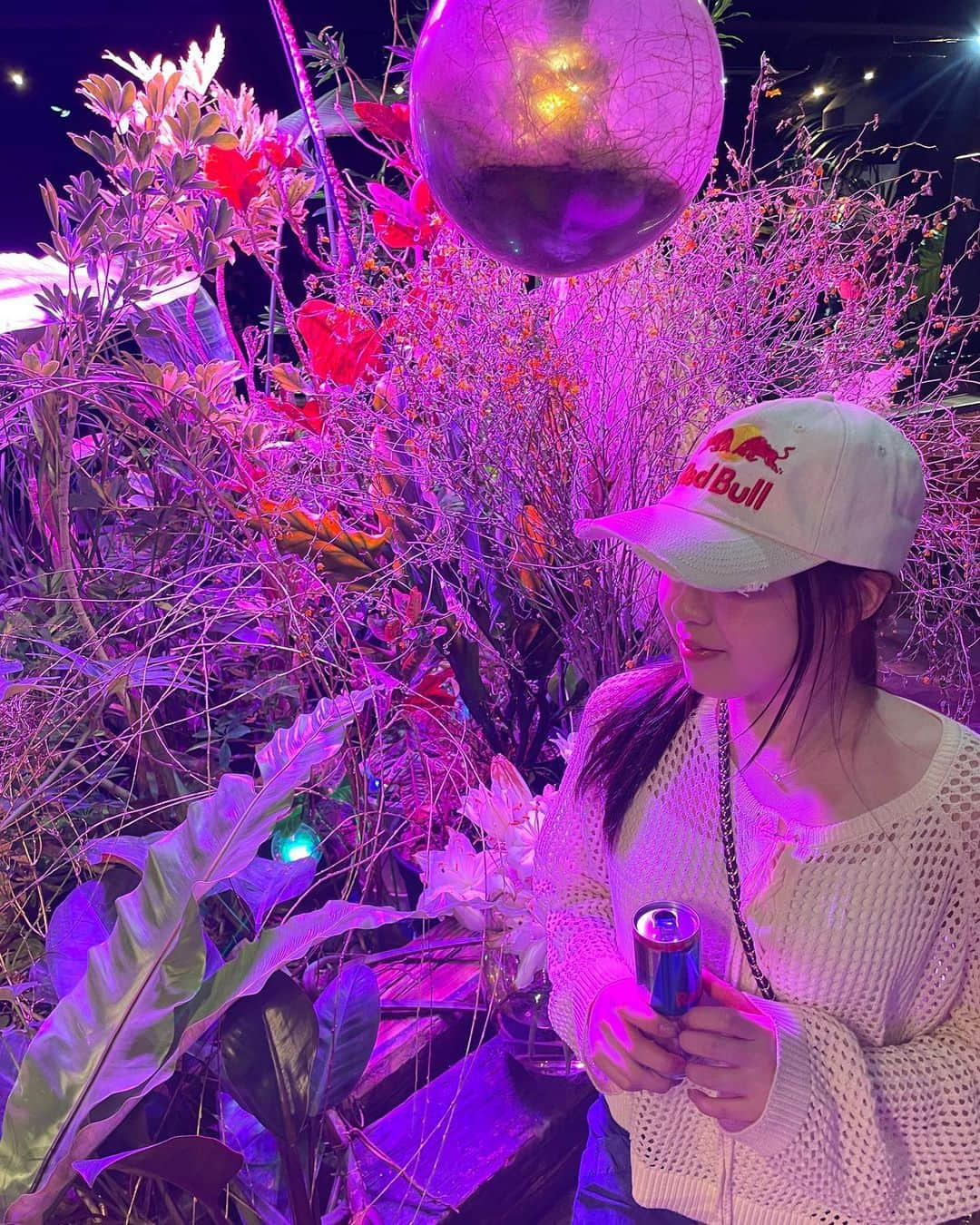 飞舞的杏花花瓣,花瓣飞舞,桃花飞舞_大山谷图库