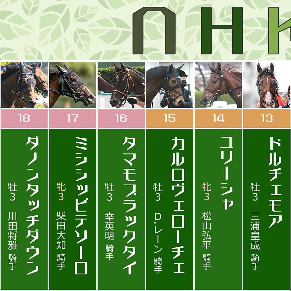netkeibaのインスタグラム
