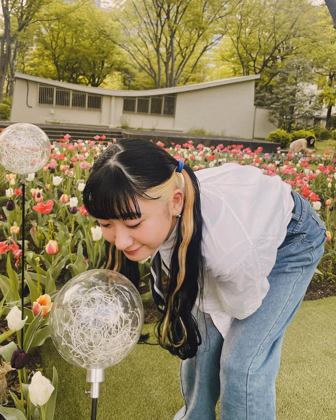 秋山眞緒のインスタグラム：「． 前に父が撮ってくれた写真🧔🏽‍♂️🌷 ⁡ ぱぱにあいたいなあ♡ ⁡ ⁡ #tsubaki_factory #秋山眞緒」