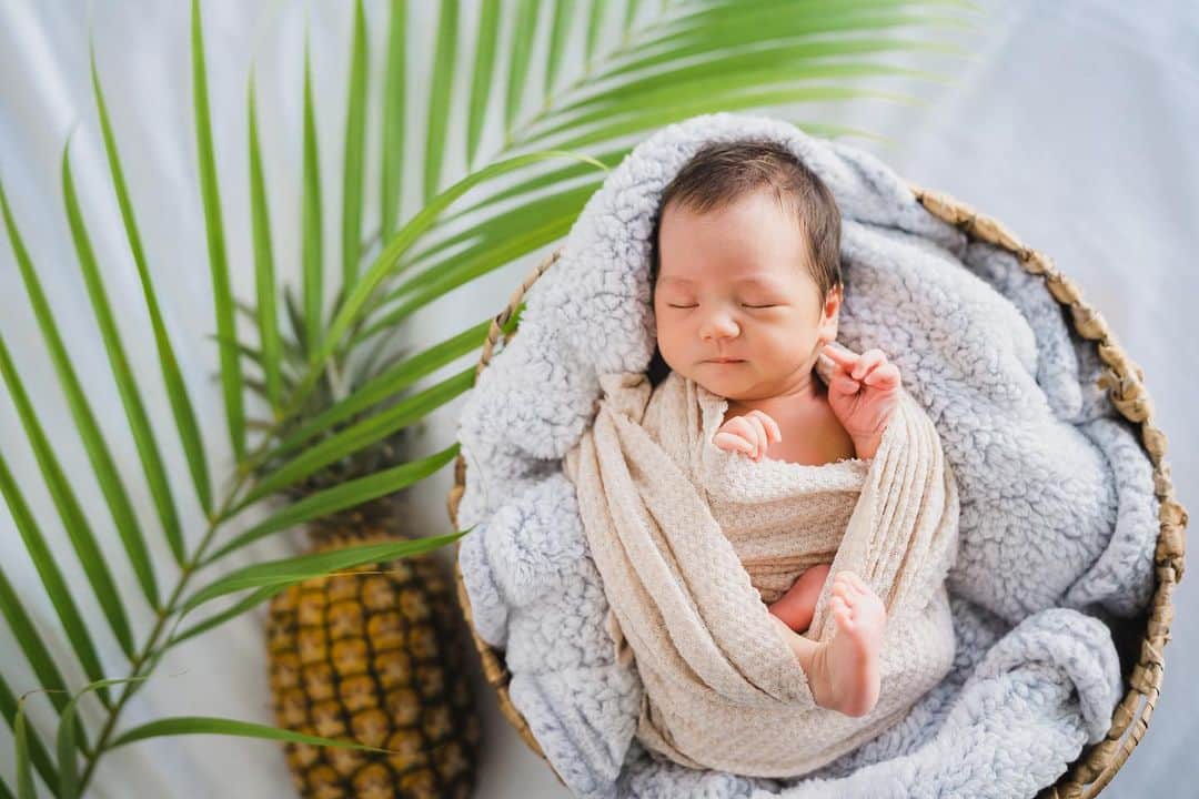 うさびったさんのインスタグラム写真 - (うさびったInstagram)「Coconuts harvested in Tommy's garden🥥  I ate the pineapple after the shoot.It was soo sweet 😋  フォトグラファーさんのおうちのお庭で獲れたココナッツ🥥✨  #hakulei #hawaii #newborn #ハワイ出産 #ニューボーンフォト」5月6日 22時10分 - usavitta