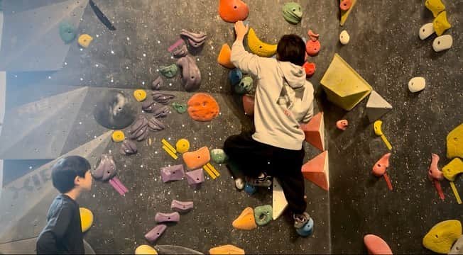 シャイニー薊のグルメインスタ